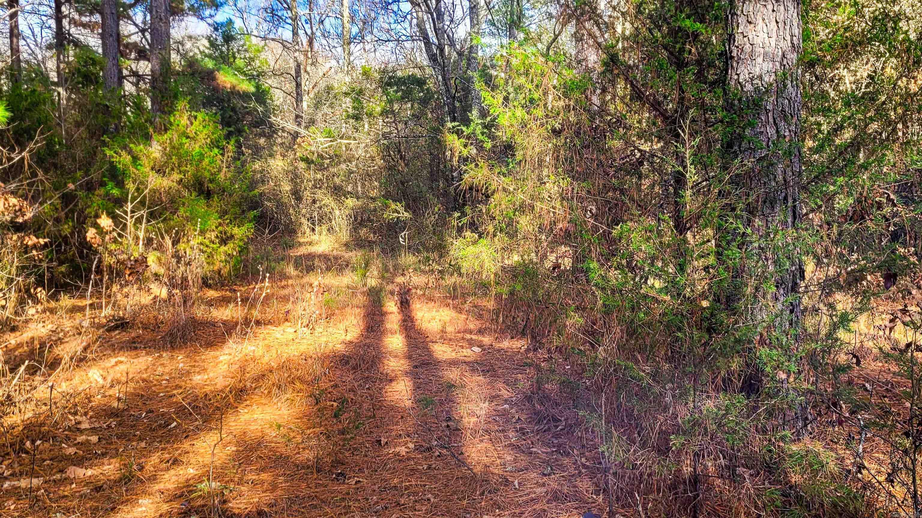 434 Pumpkin Center Lot 4 Quitman, AR