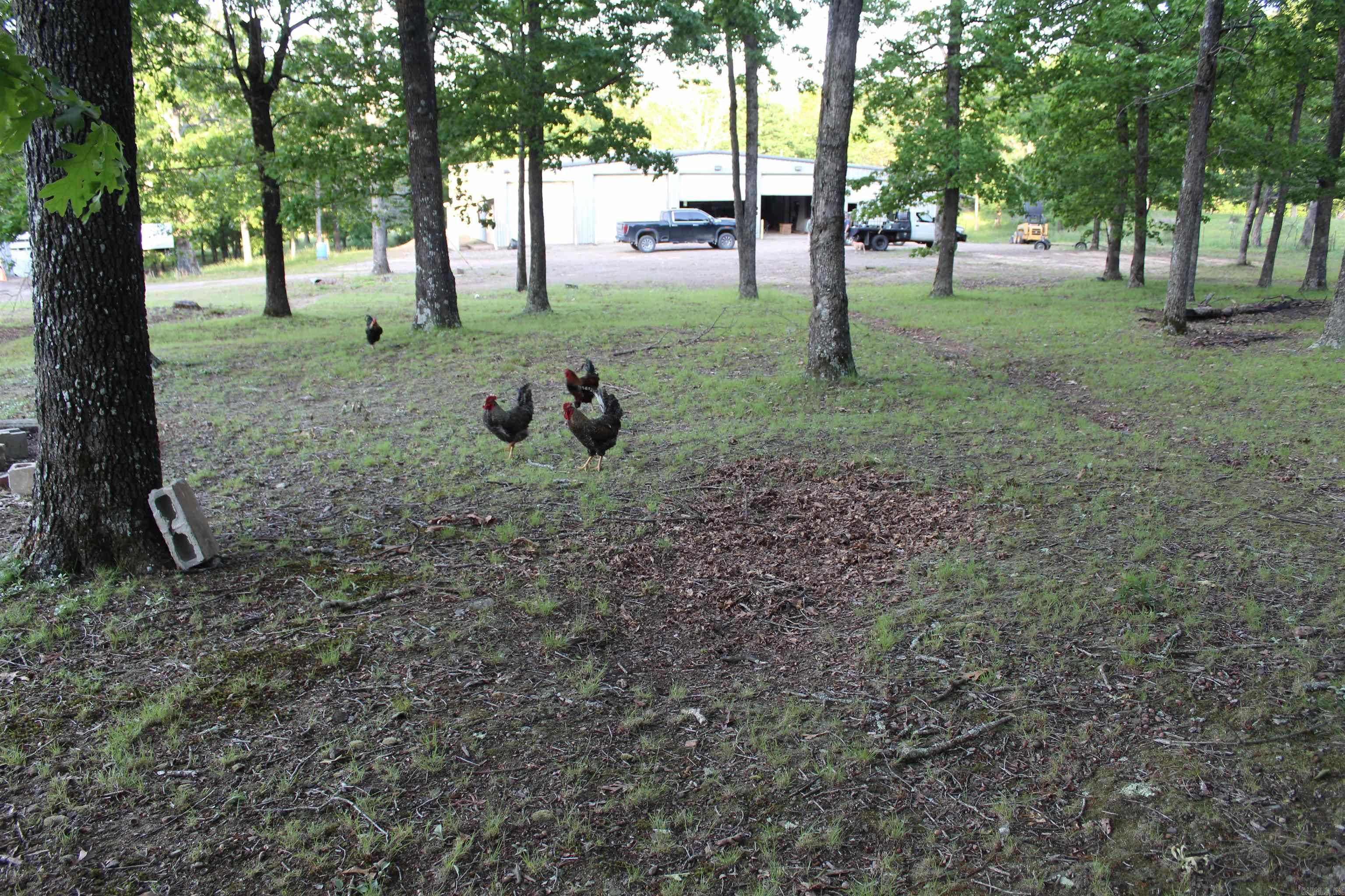 158 Ragon  Tilly, AR