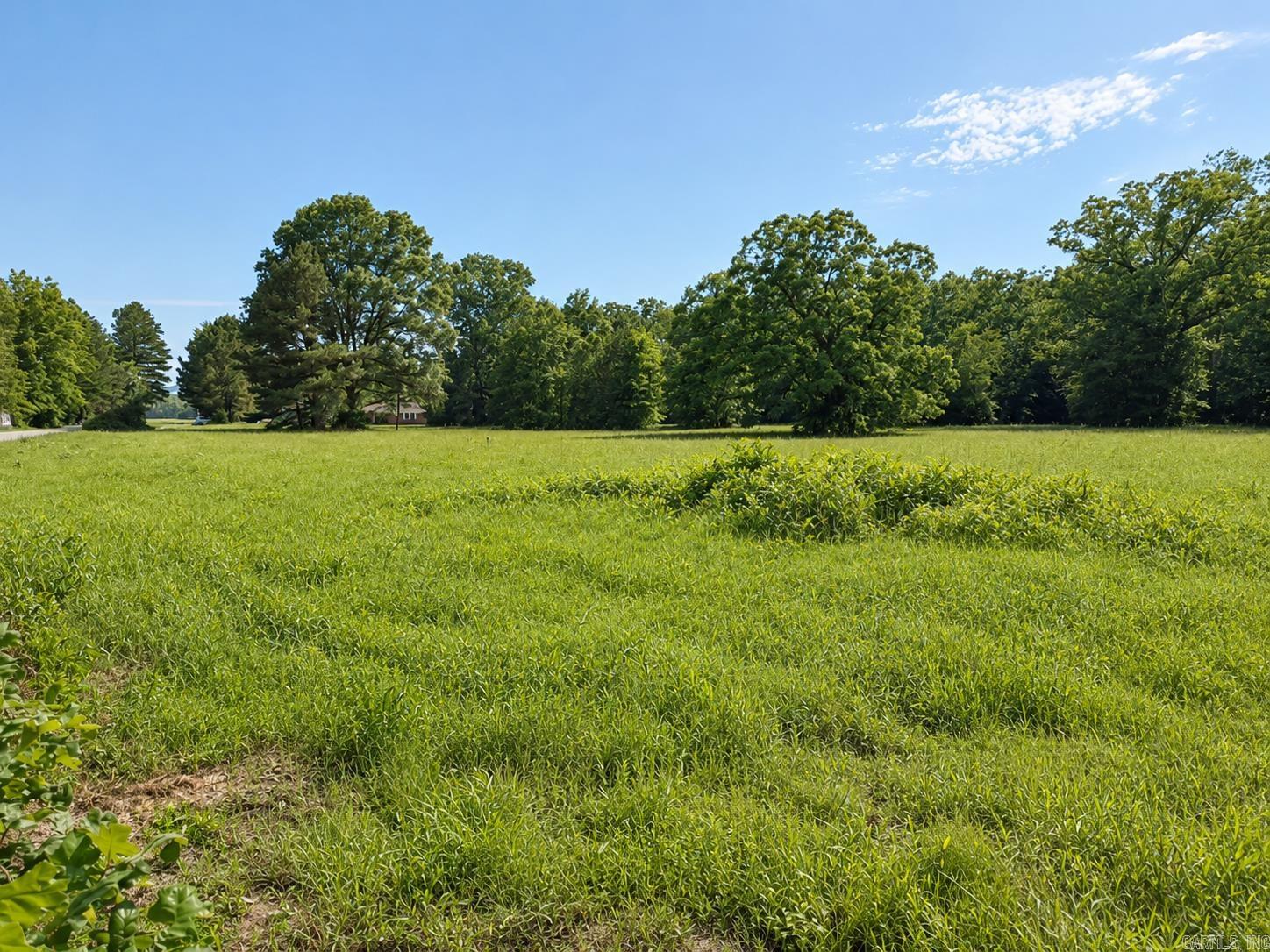 0 Pruett Cutoff  Conway, AR