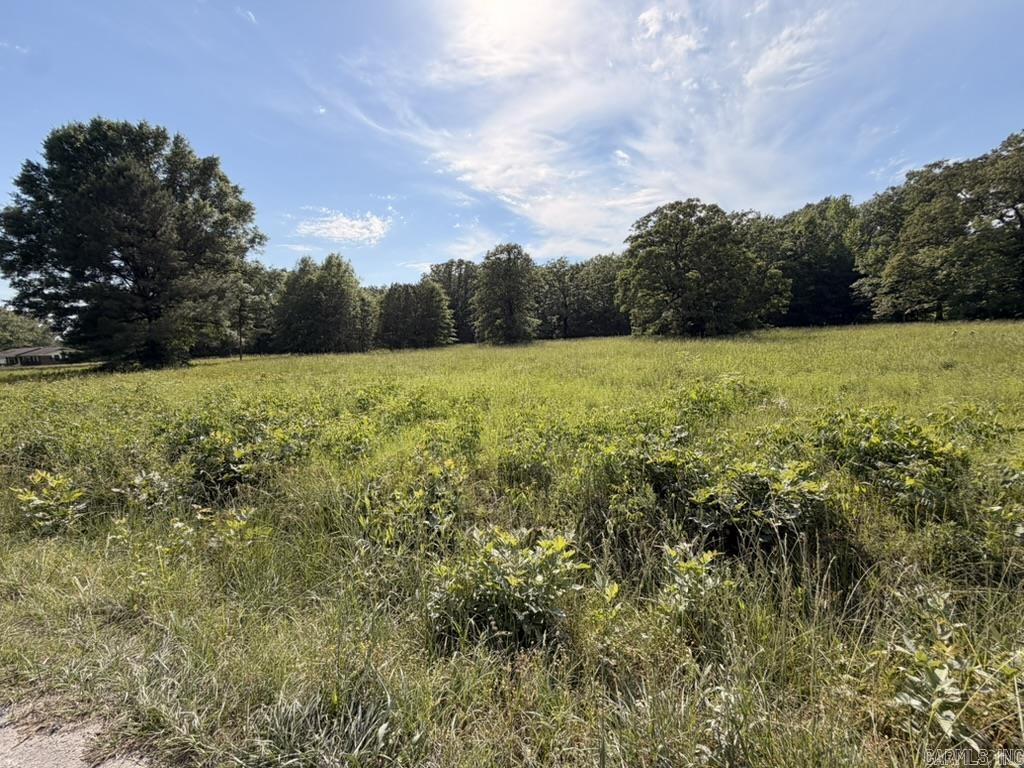0 Pruett Cutoff  Conway, AR