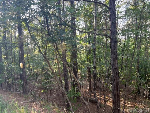 26 Piocha  Hot Springs Village, AR