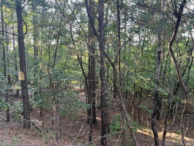 26 Piocha  Hot Springs Village, AR