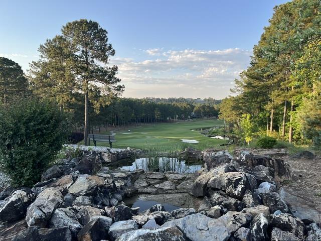 26 Piocha  Hot Springs Village, AR