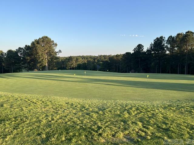 26 Piocha  Hot Springs Village, AR