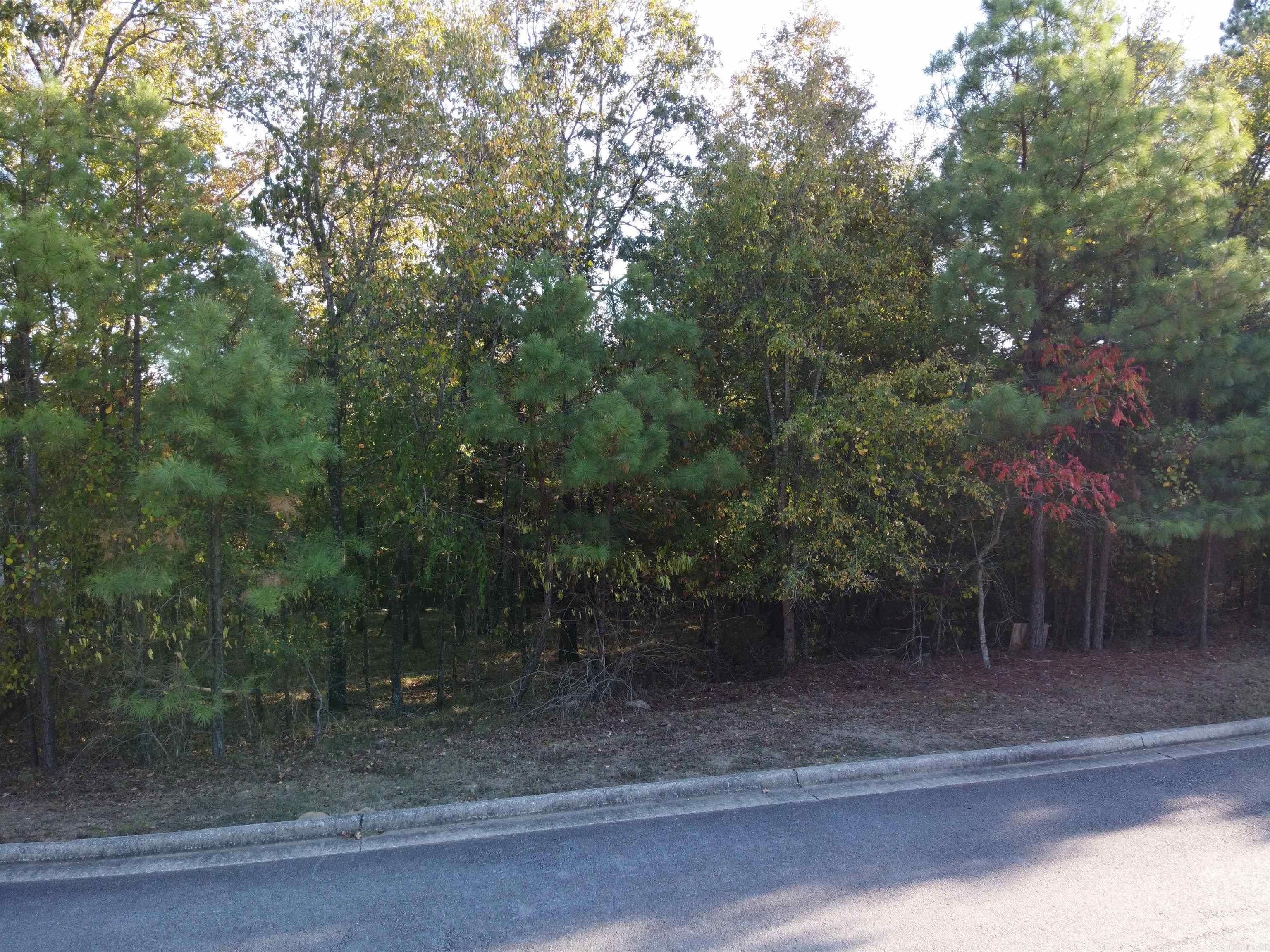 000 Dellmere  Hot Springs, AR