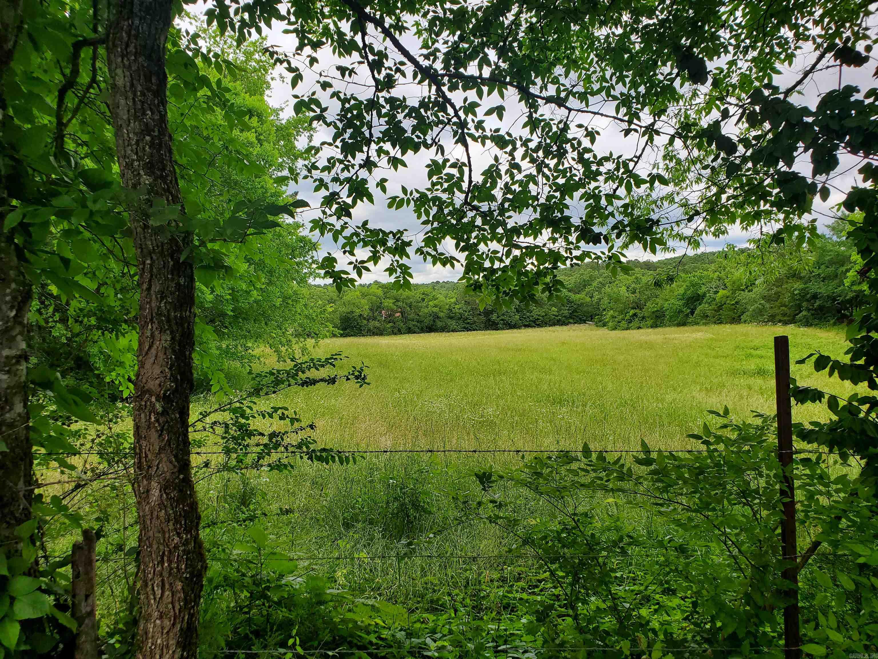 288 Polk Road 57  Mena, AR