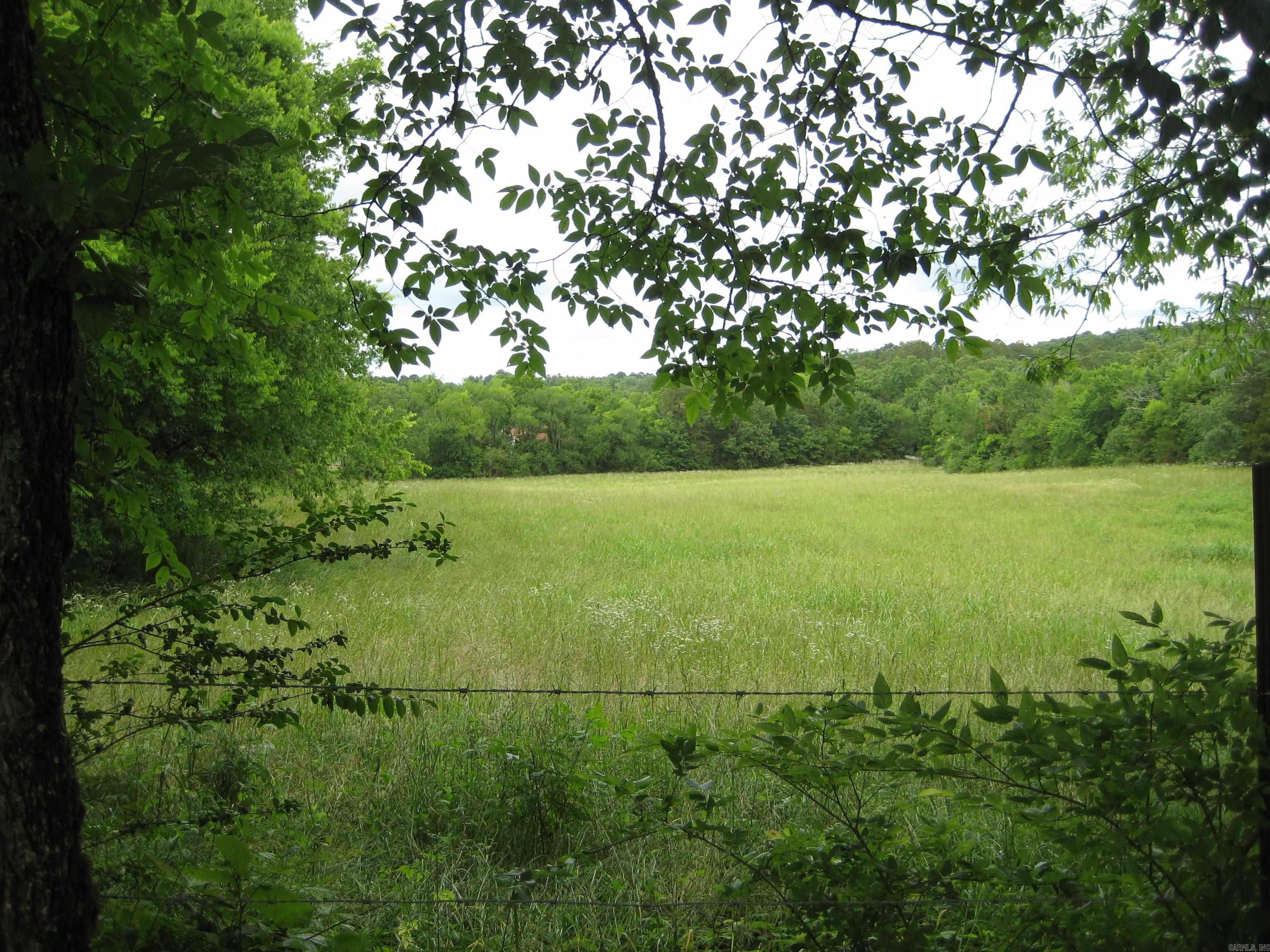 288 Polk Road 57  Mena, AR
