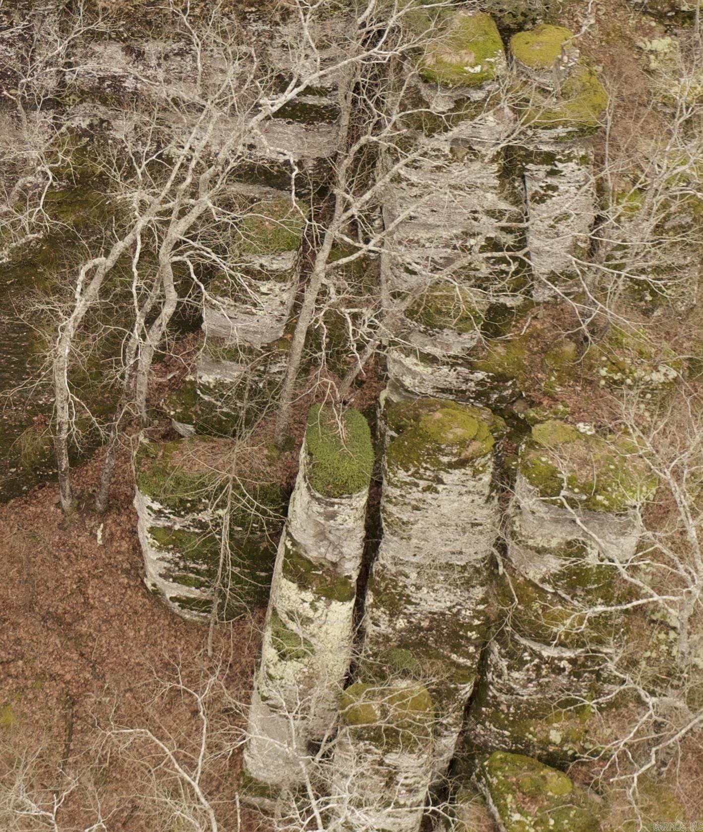 TRACT 2 2600 Libby Tract 2 Heber Springs, AR