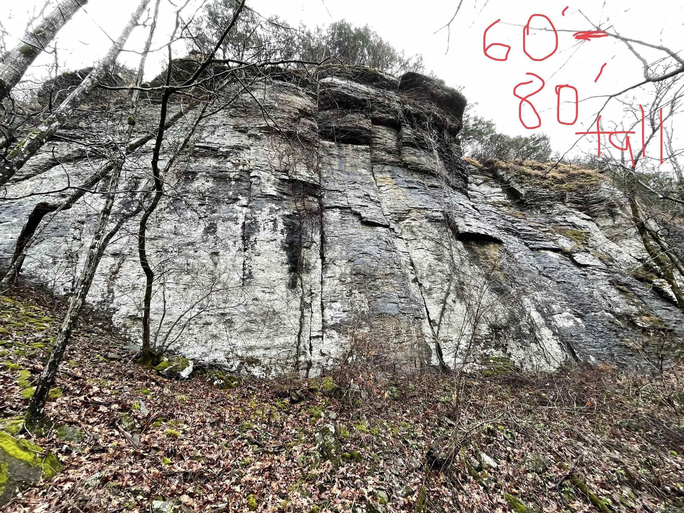 TRACT 2 2600 Libby Tract 2 Heber Springs, AR