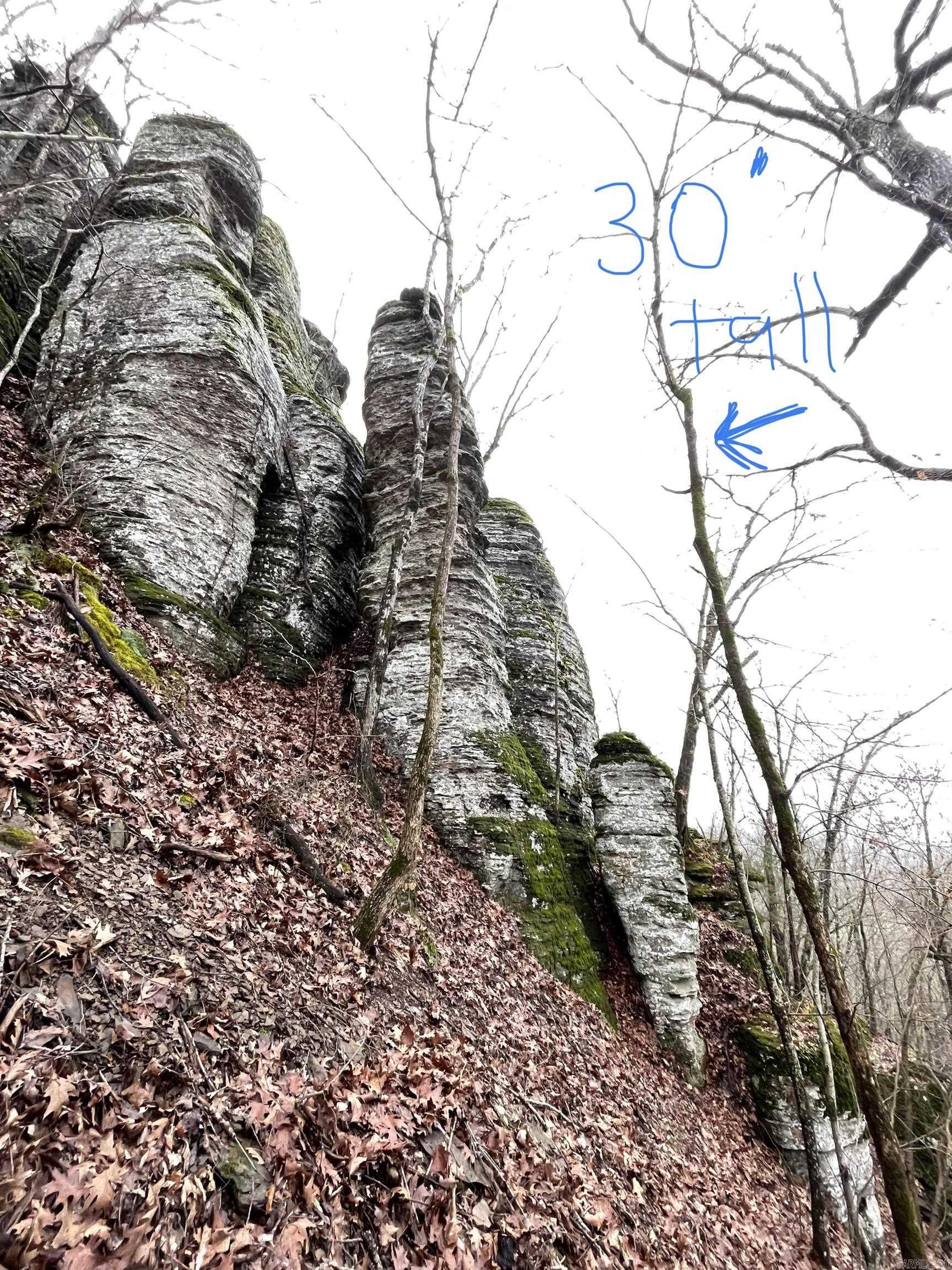 TRACT 2 2600 Libby Tract 2 Heber Springs, AR