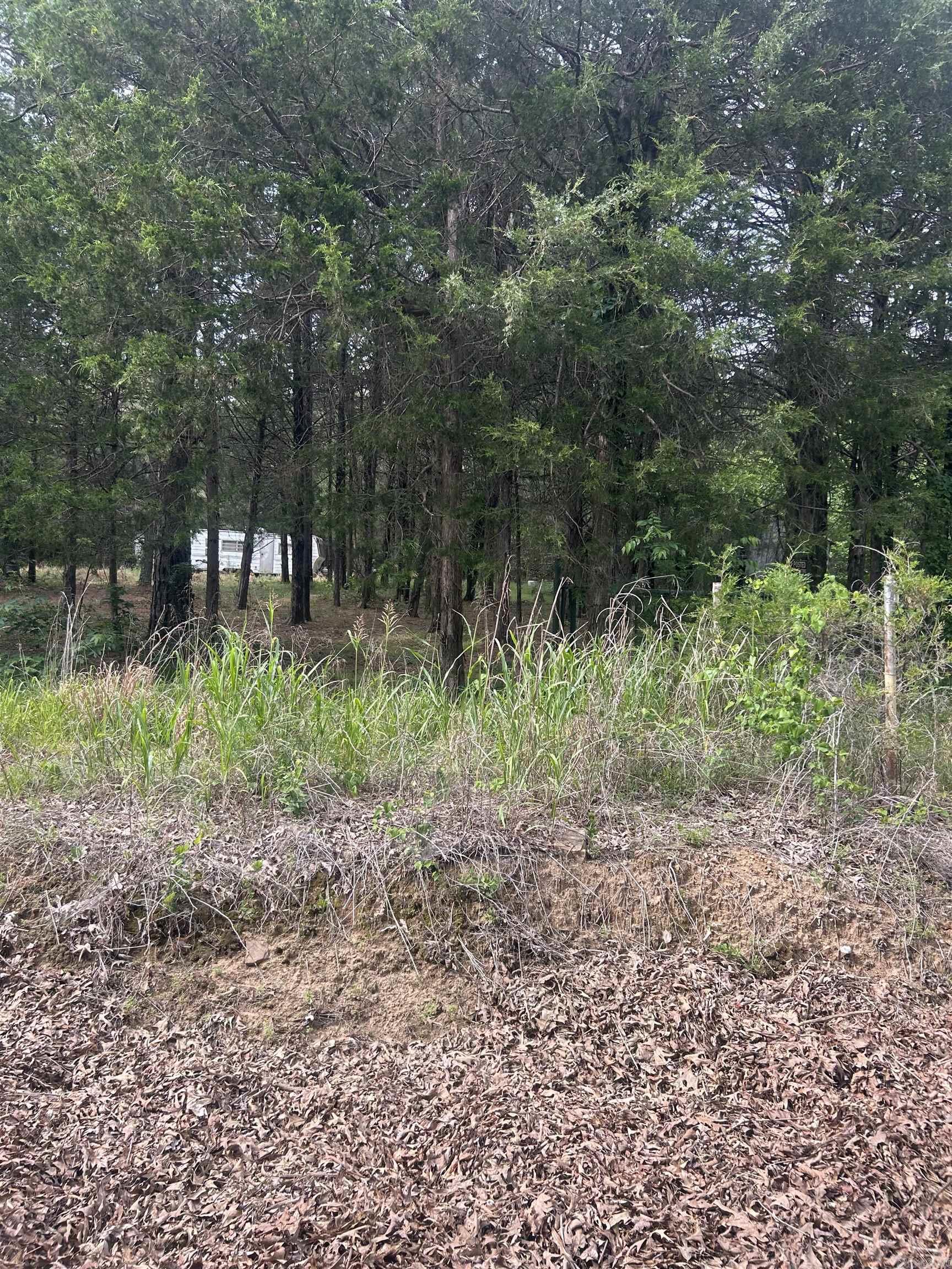 1440 Hideout Road  Pleasant Plains, AR