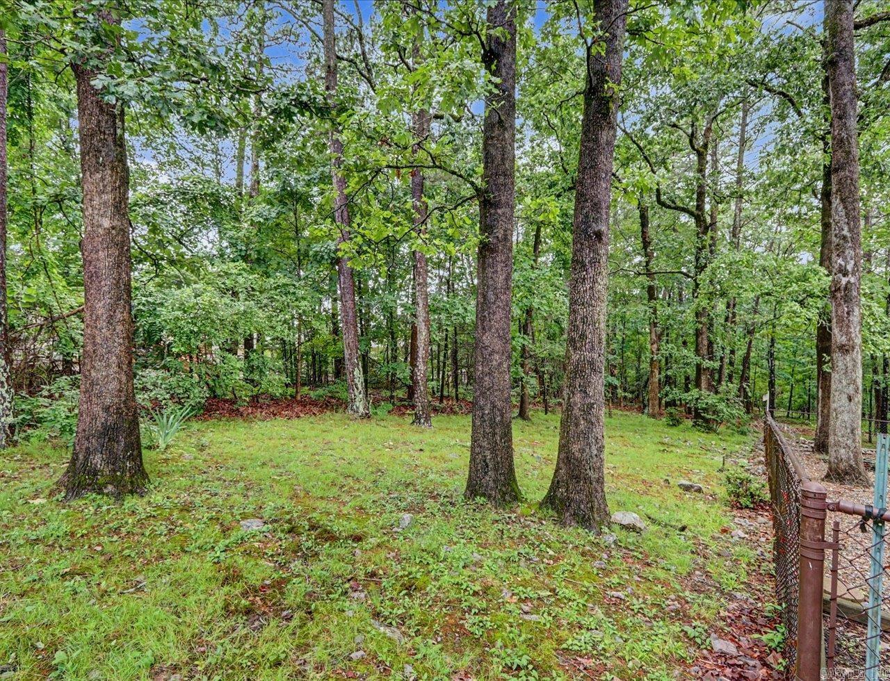 27 Murcia  Hot Springs, AR