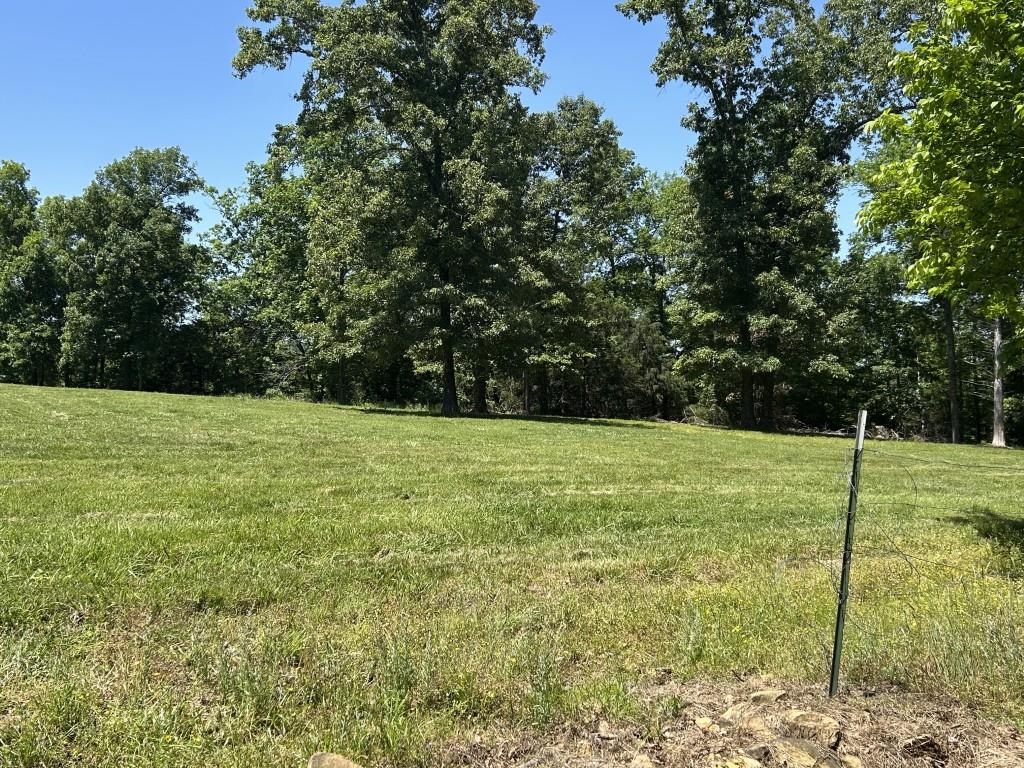 2731 Holmes  Mountain View, AR
