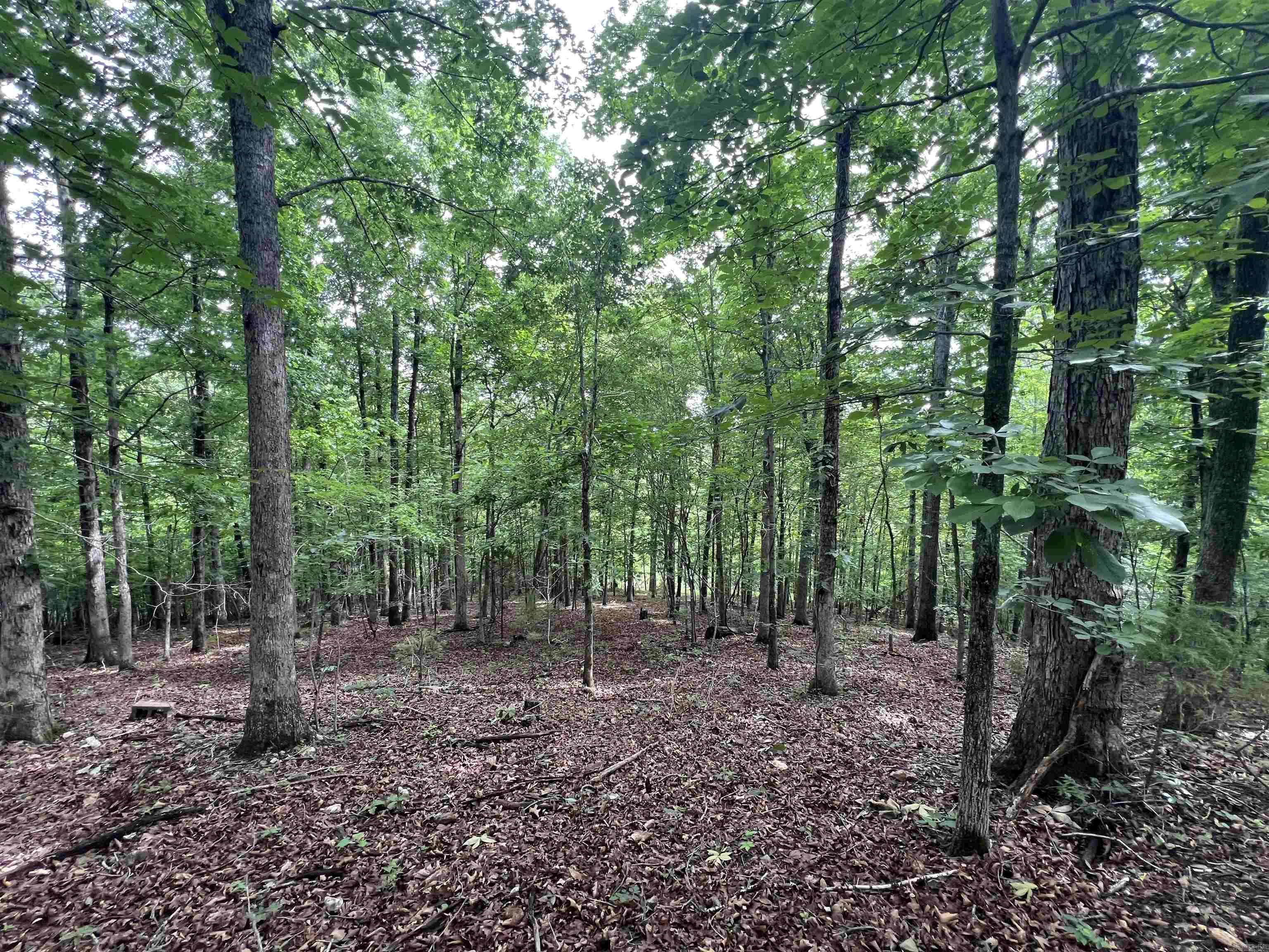 2661 Red Bluff Rd.  Marshall, AR