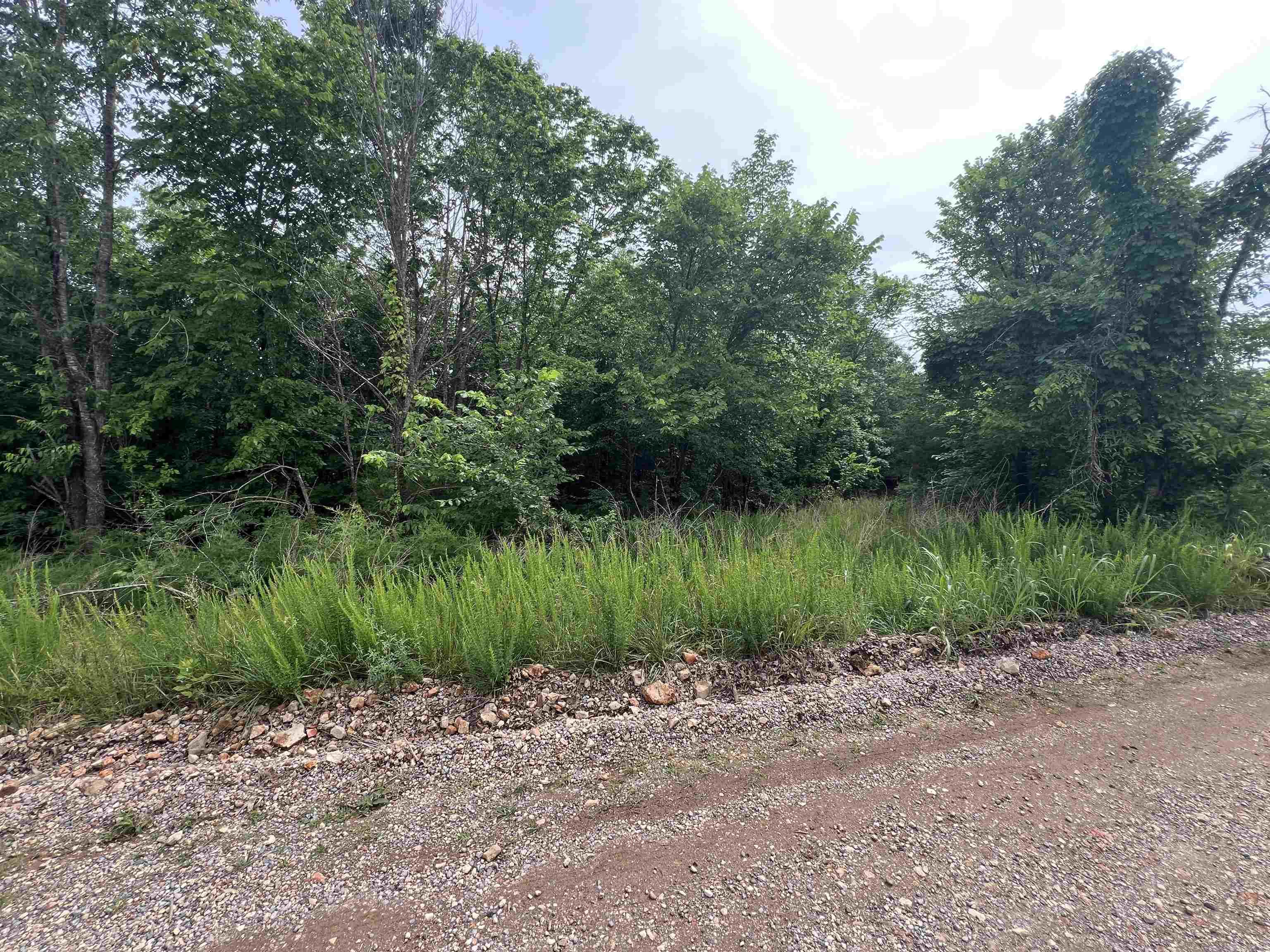 2661 Red Bluff Rd.  Marshall, AR
