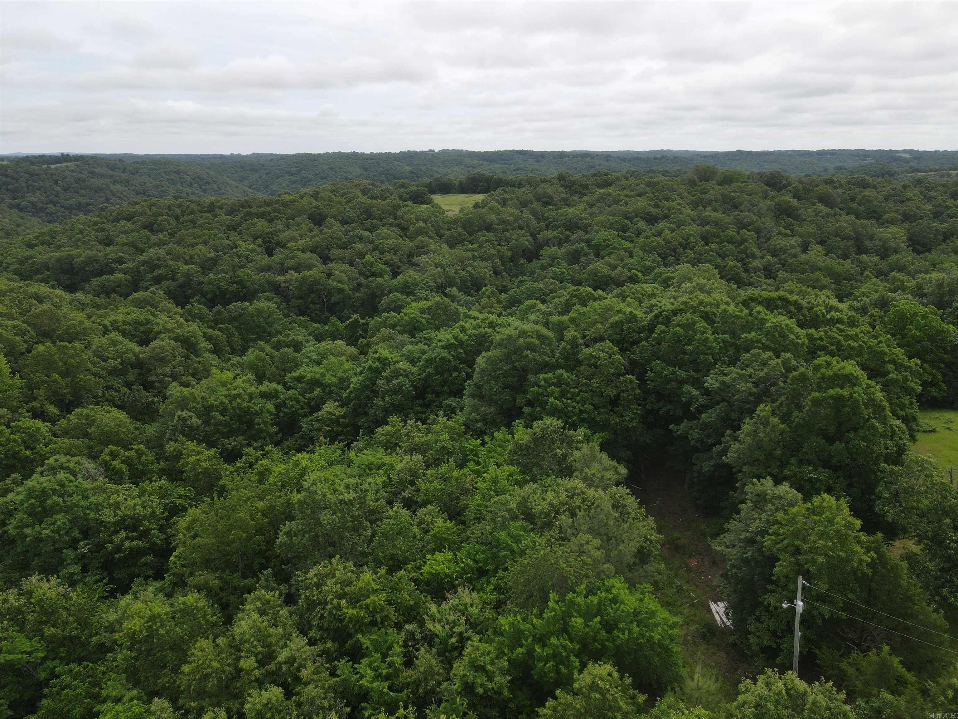 2661 Red Bluff Rd.  Marshall, AR
