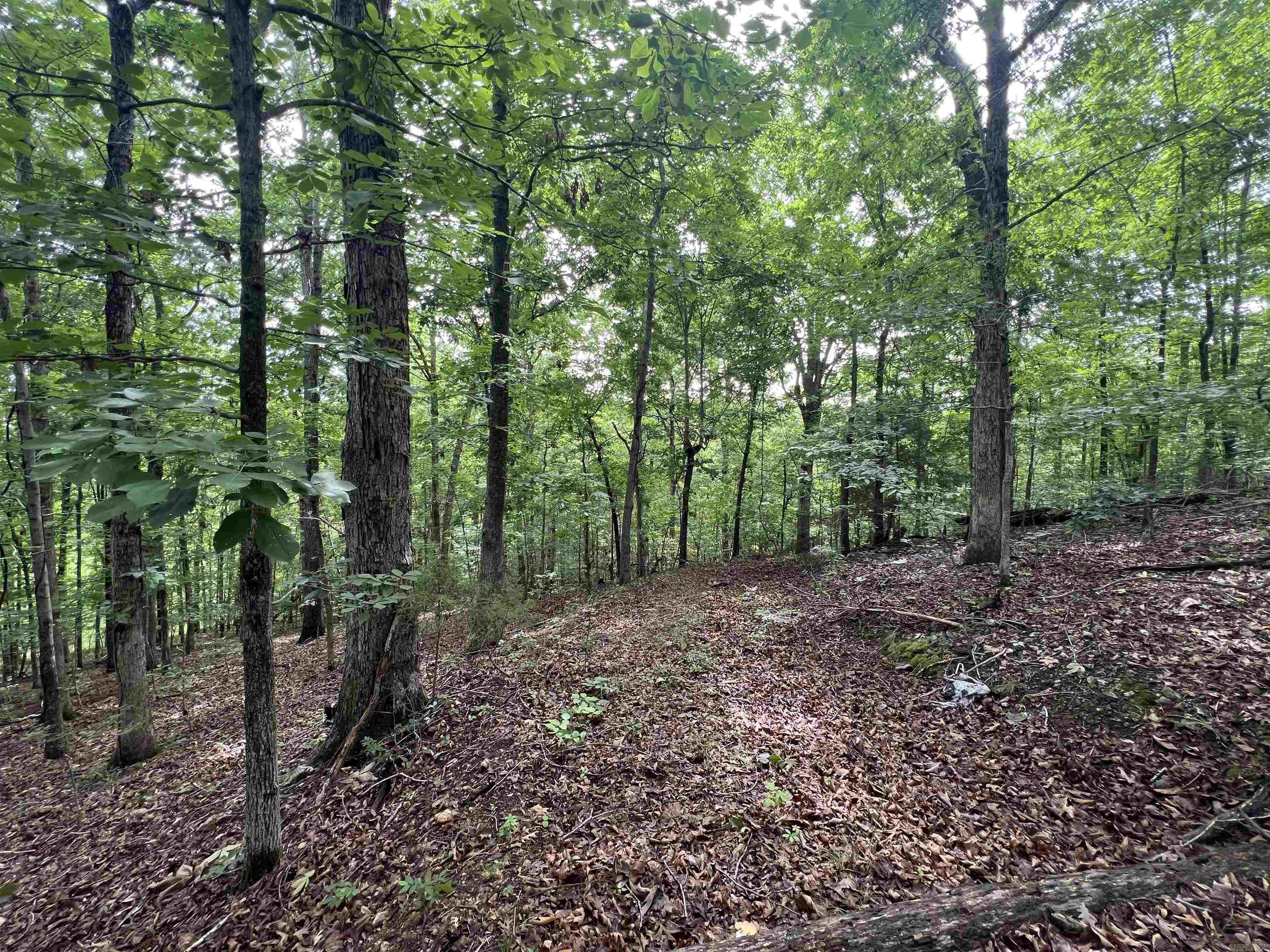 2661 Red Bluff Rd.  Marshall, AR