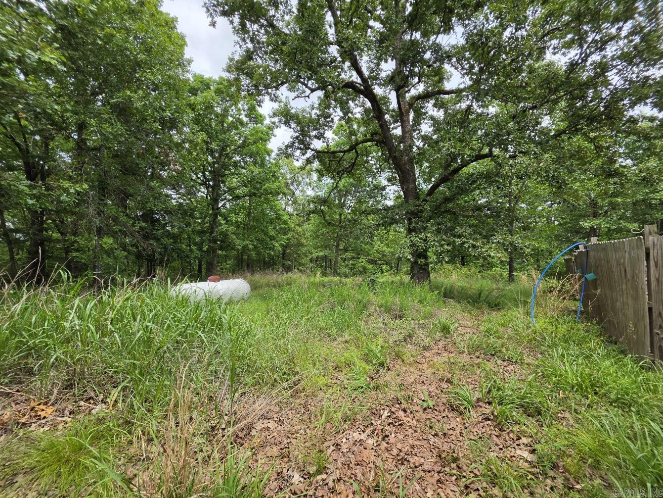 295 Black Oak  Mammoth Spring, AR