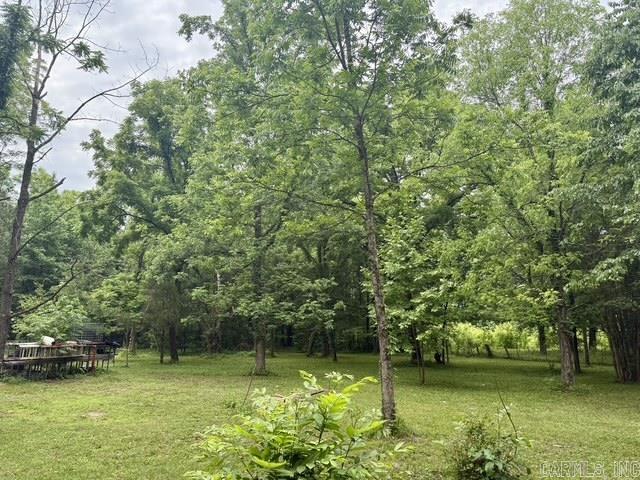 677 Snyder  Arkadelphia, AR