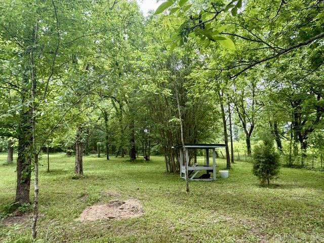 677 Snyder  Arkadelphia, AR