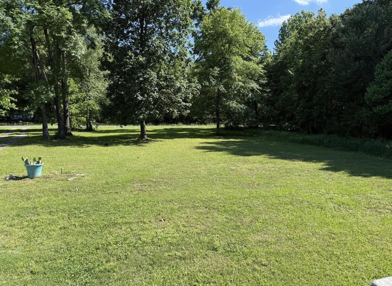 11 Leon  Conway, AR