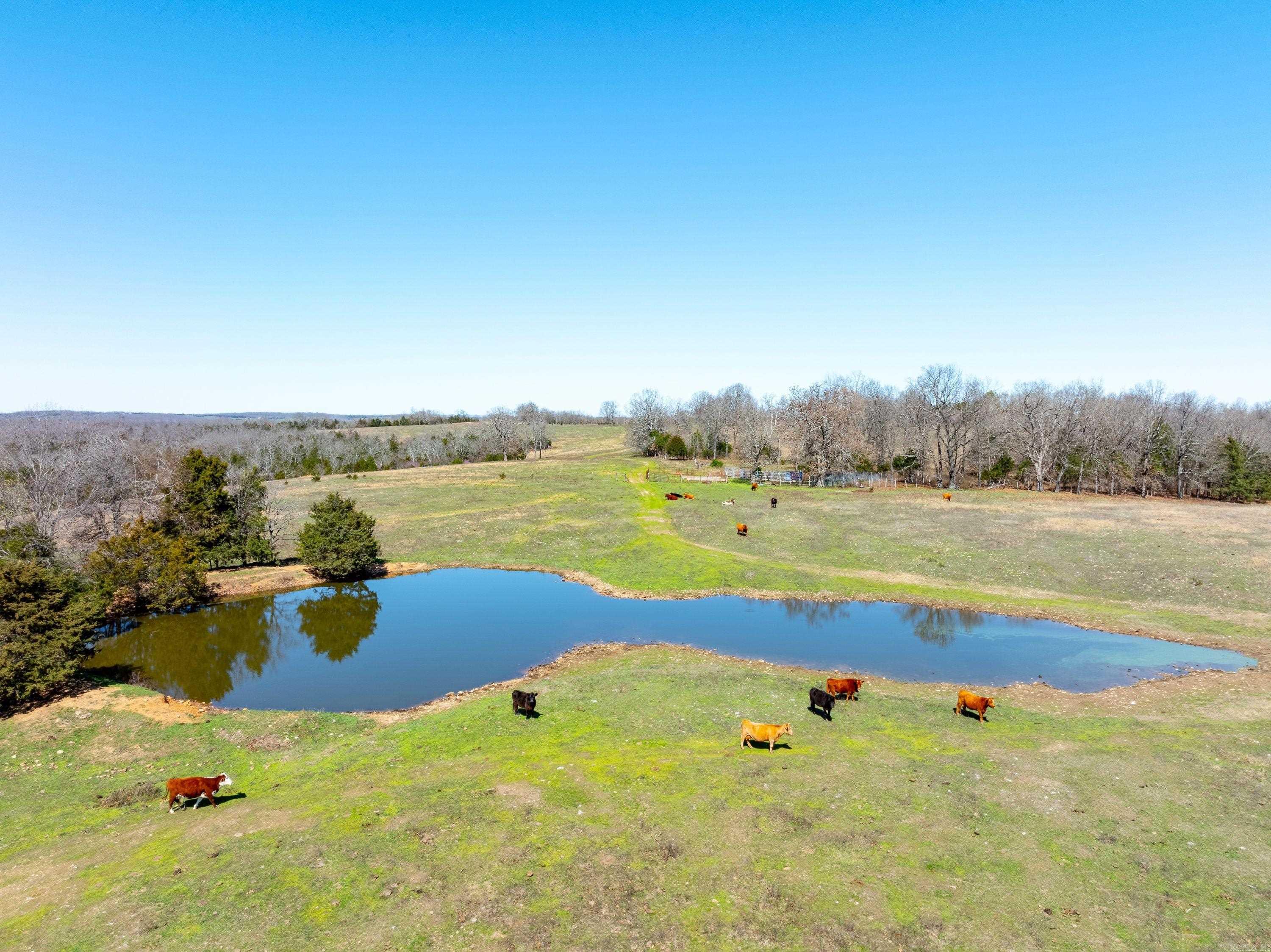  Cr 232  Henderson, AR