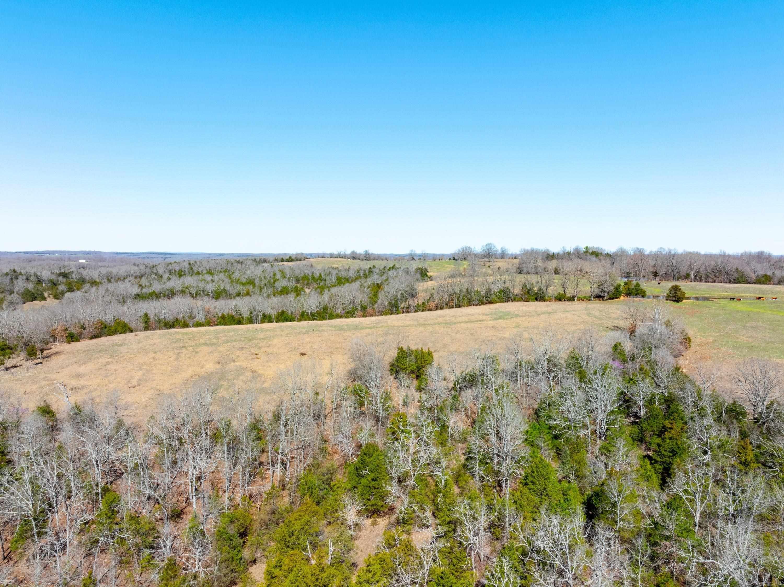  Cr 232  Henderson, AR
