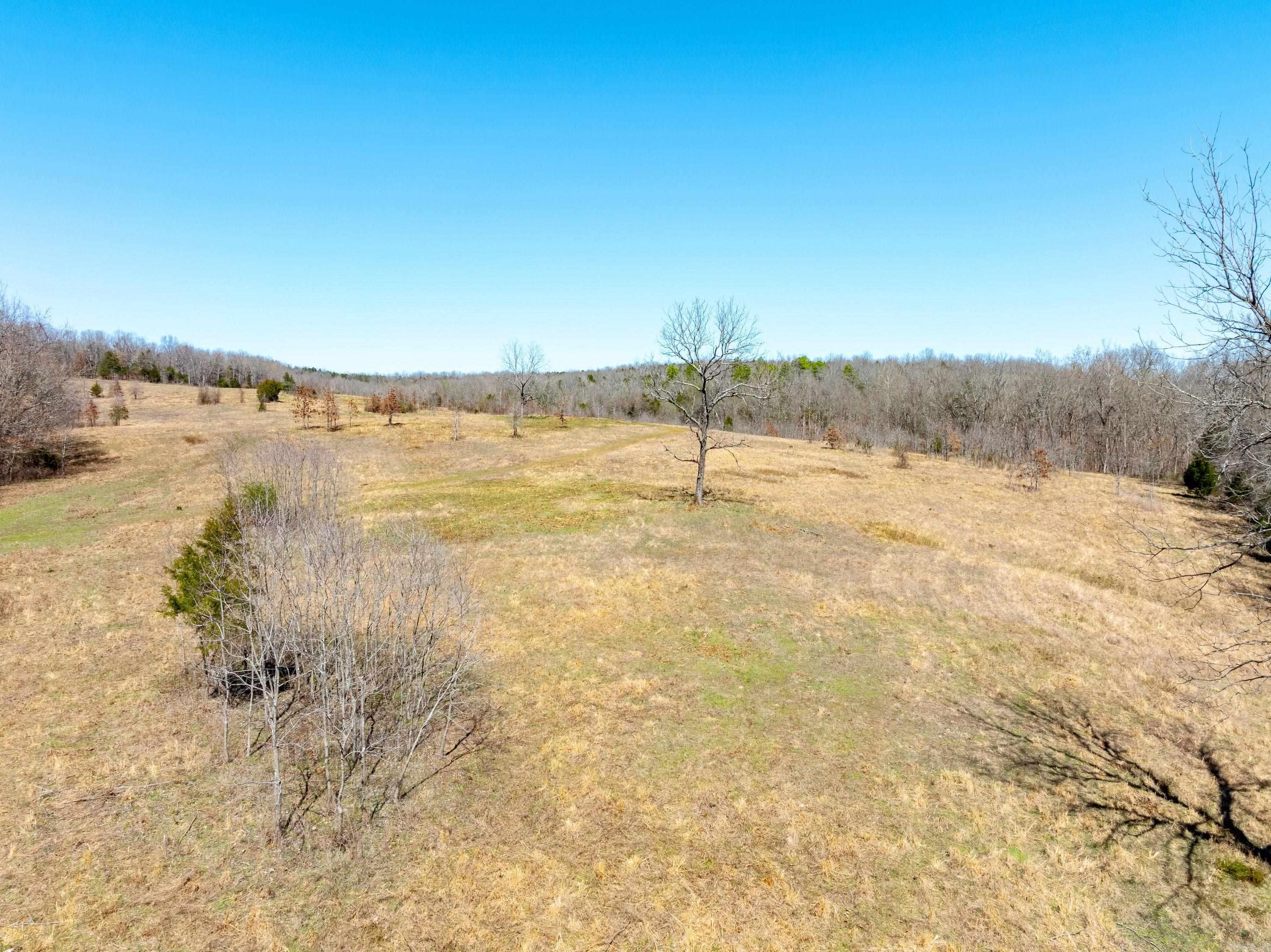  Cr 232  Henderson, AR