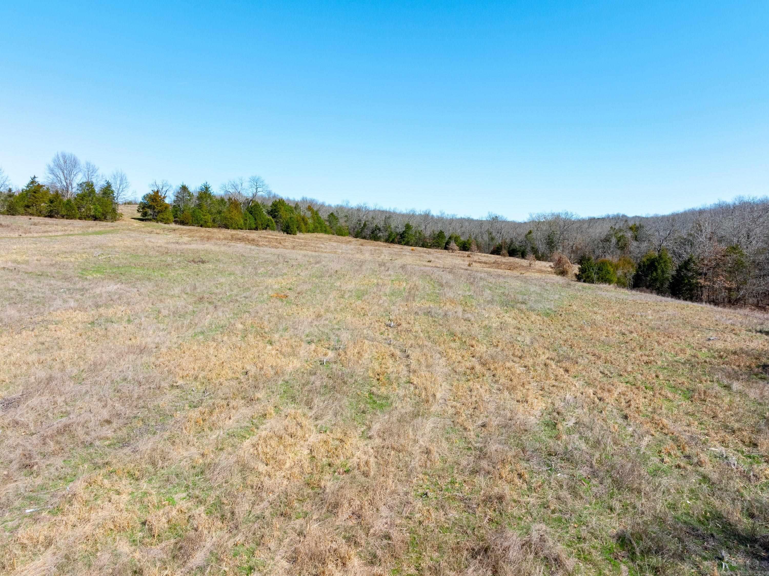  Cr 232  Henderson, AR