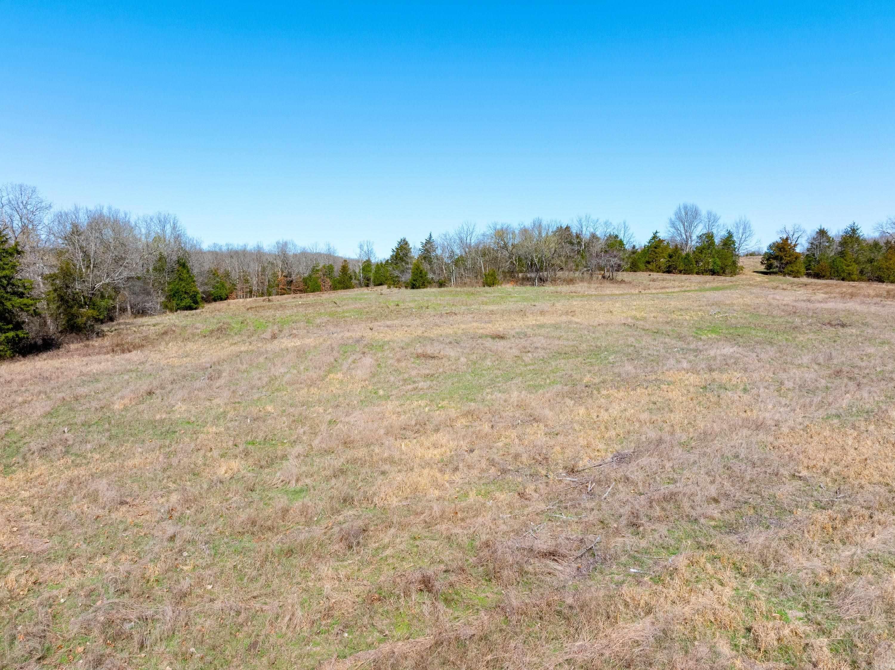  Cr 232  Henderson, AR