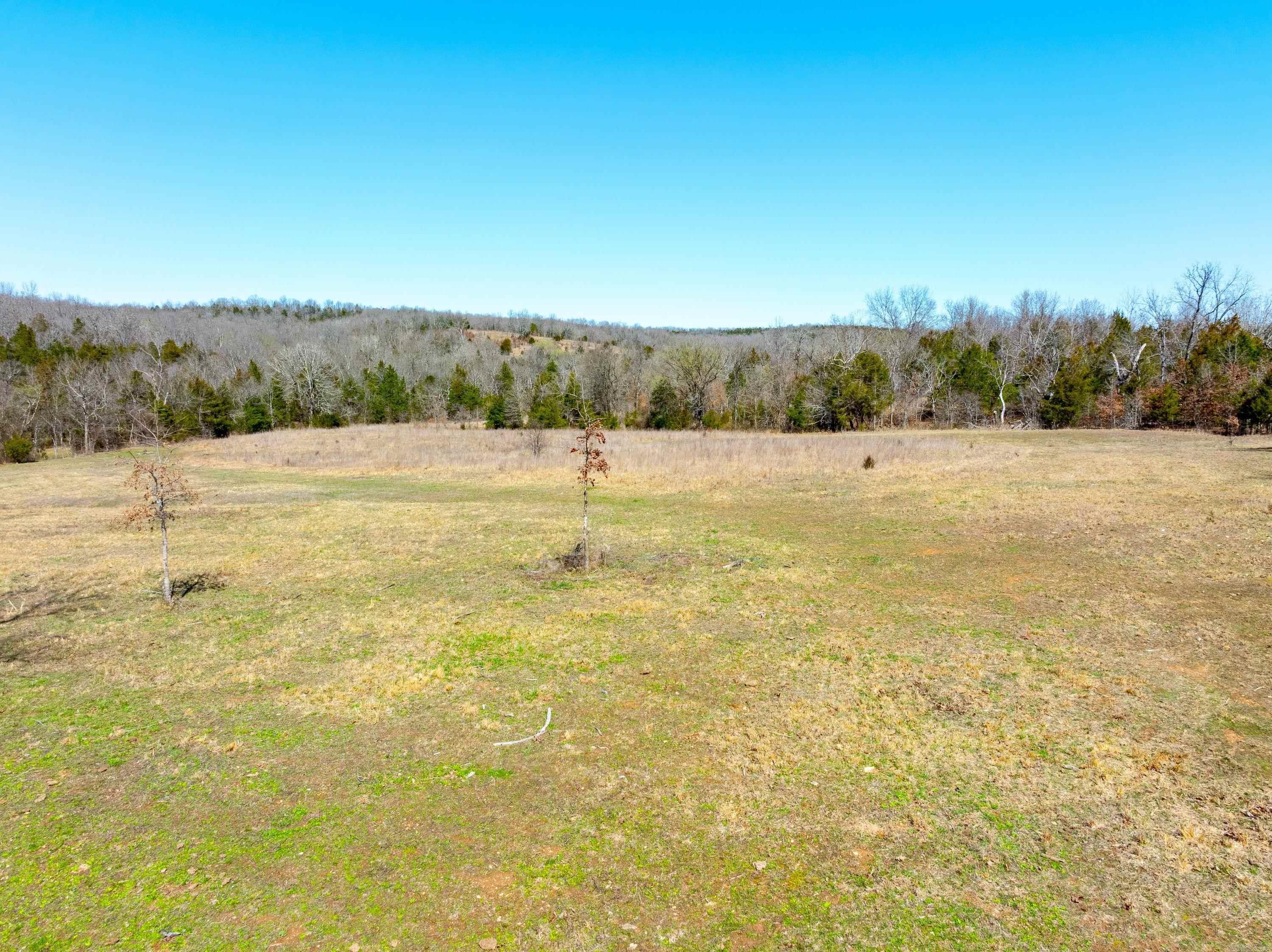  Cr 232  Henderson, AR
