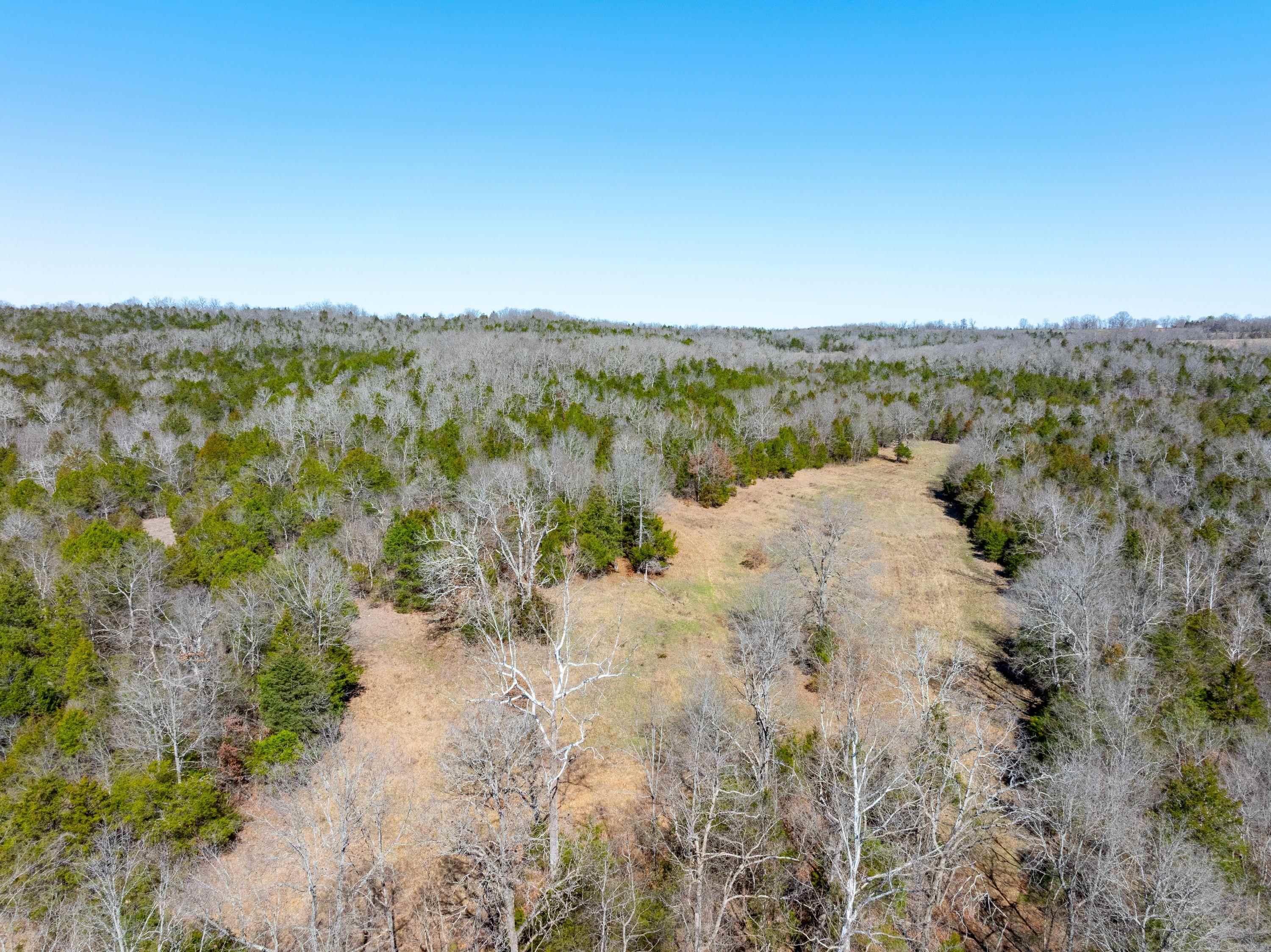  Cr 232  Henderson, AR