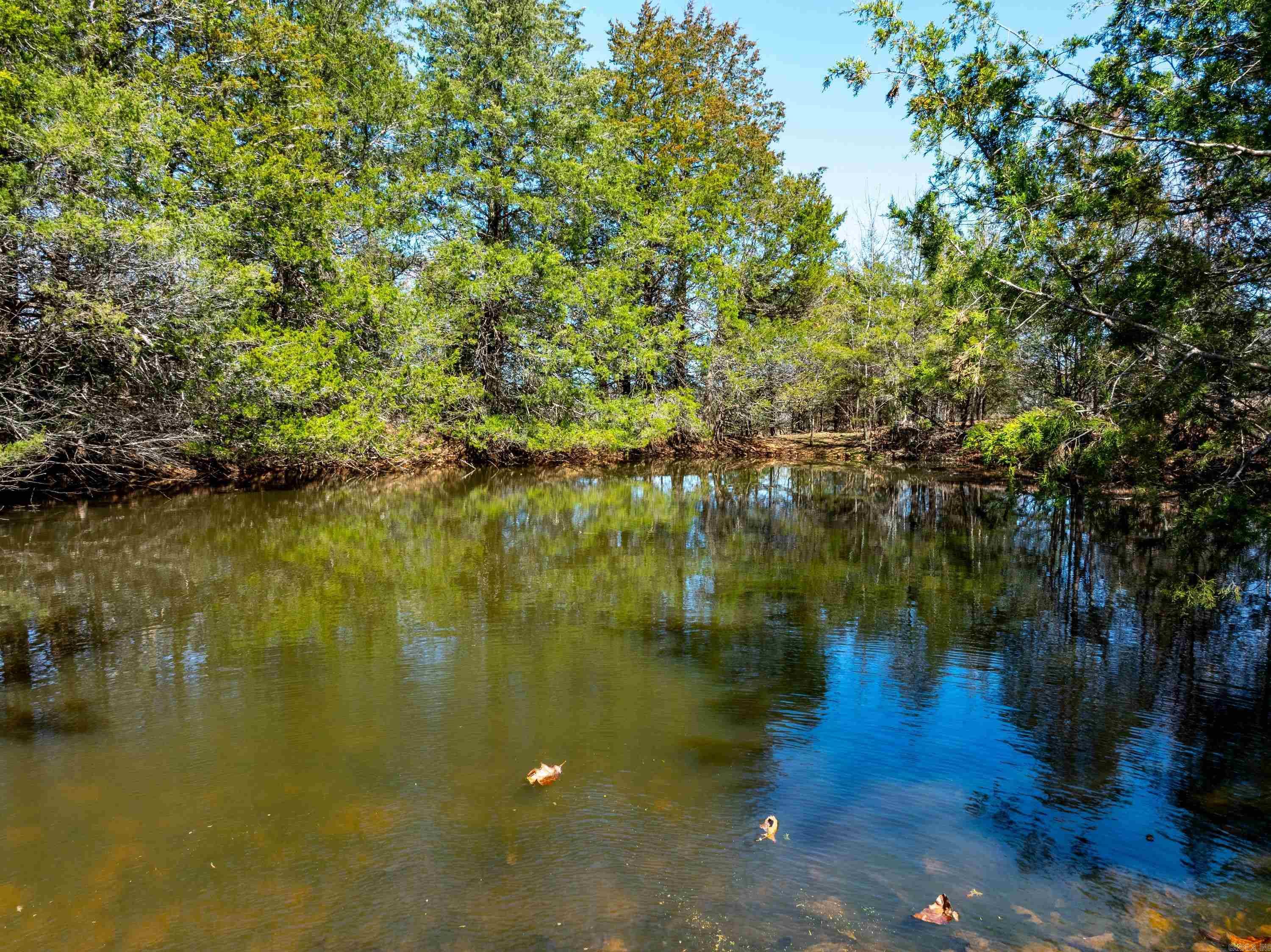  Cr 232  Henderson, AR