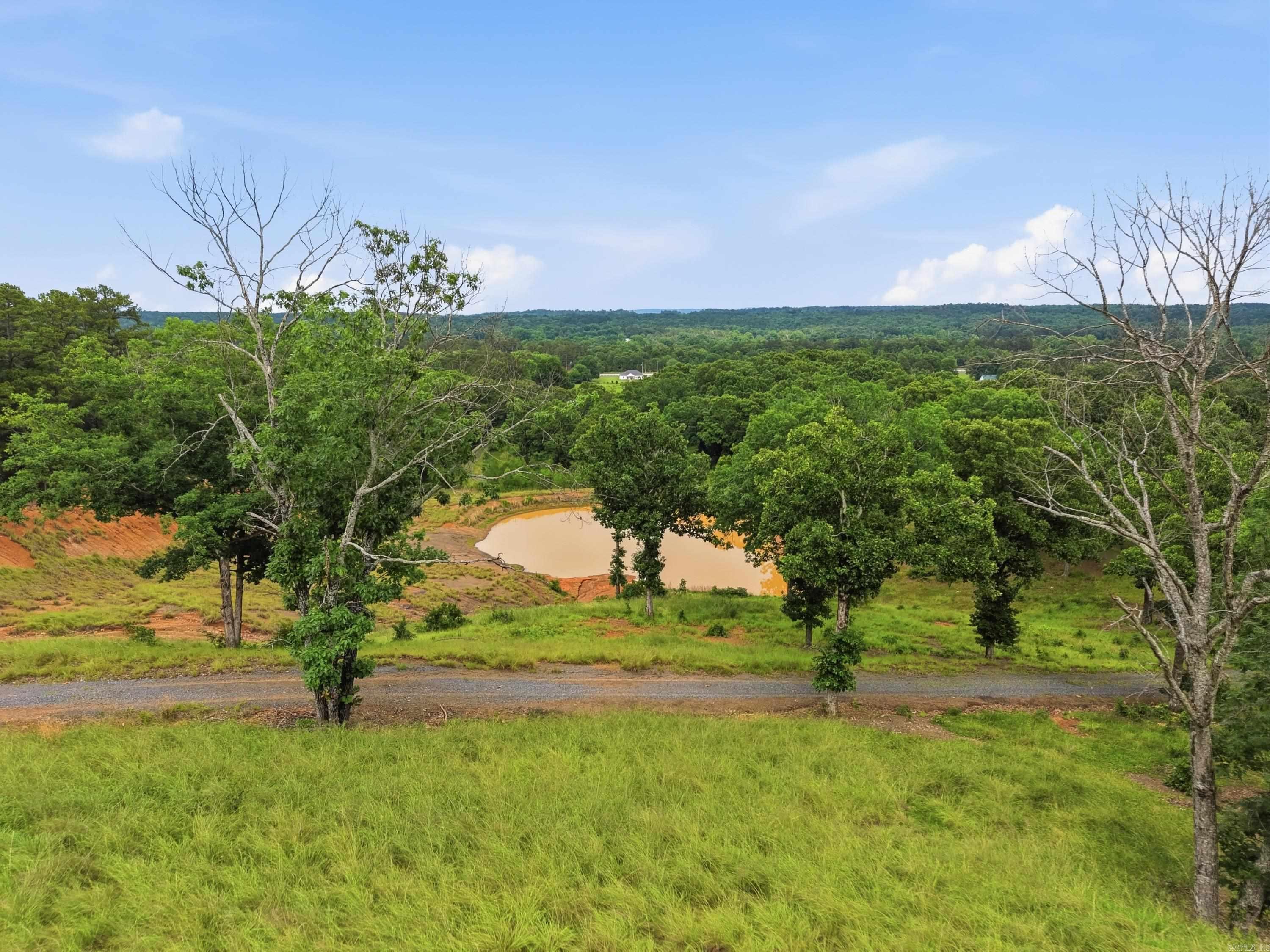 121 Oakstone Heights  Conway, AR