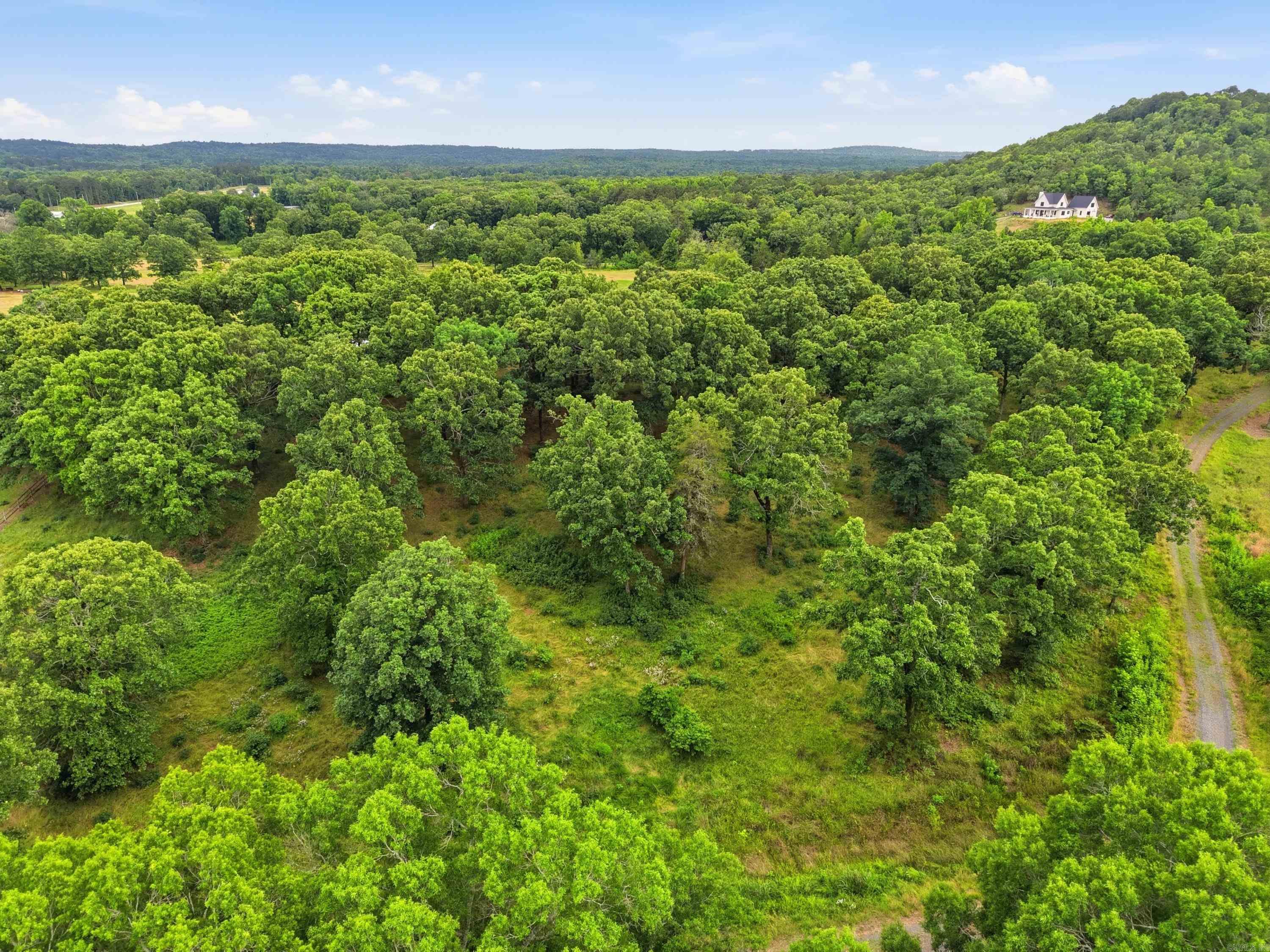 121 Oakstone Heights  Conway, AR