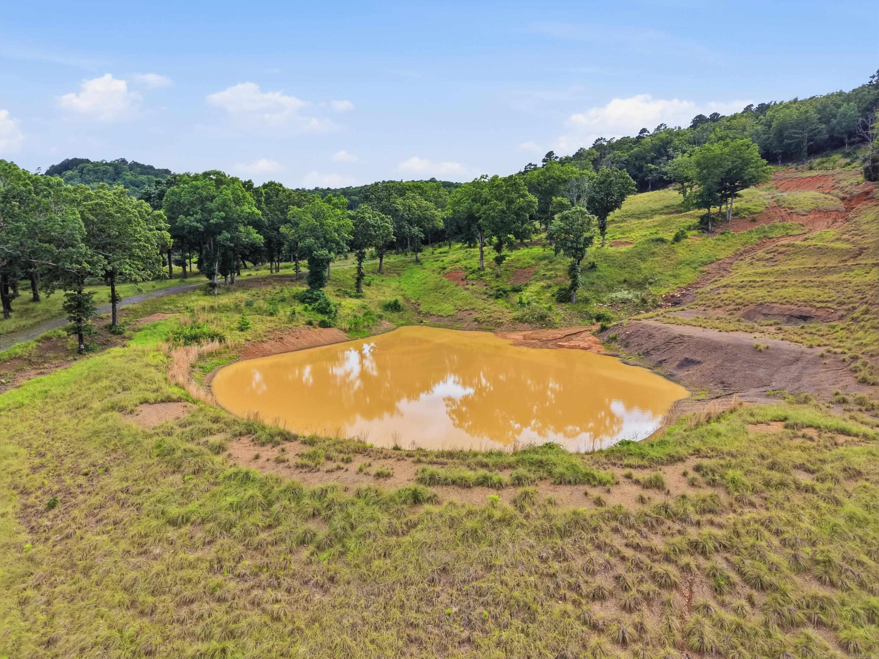 121 Oakstone Heights  Conway, AR