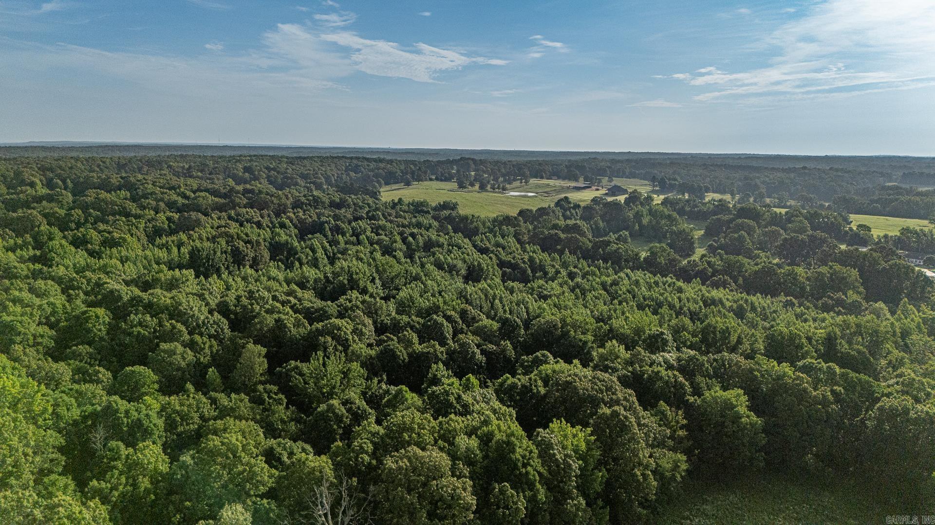 33 acres M/L Greene 710  Paragould, AR