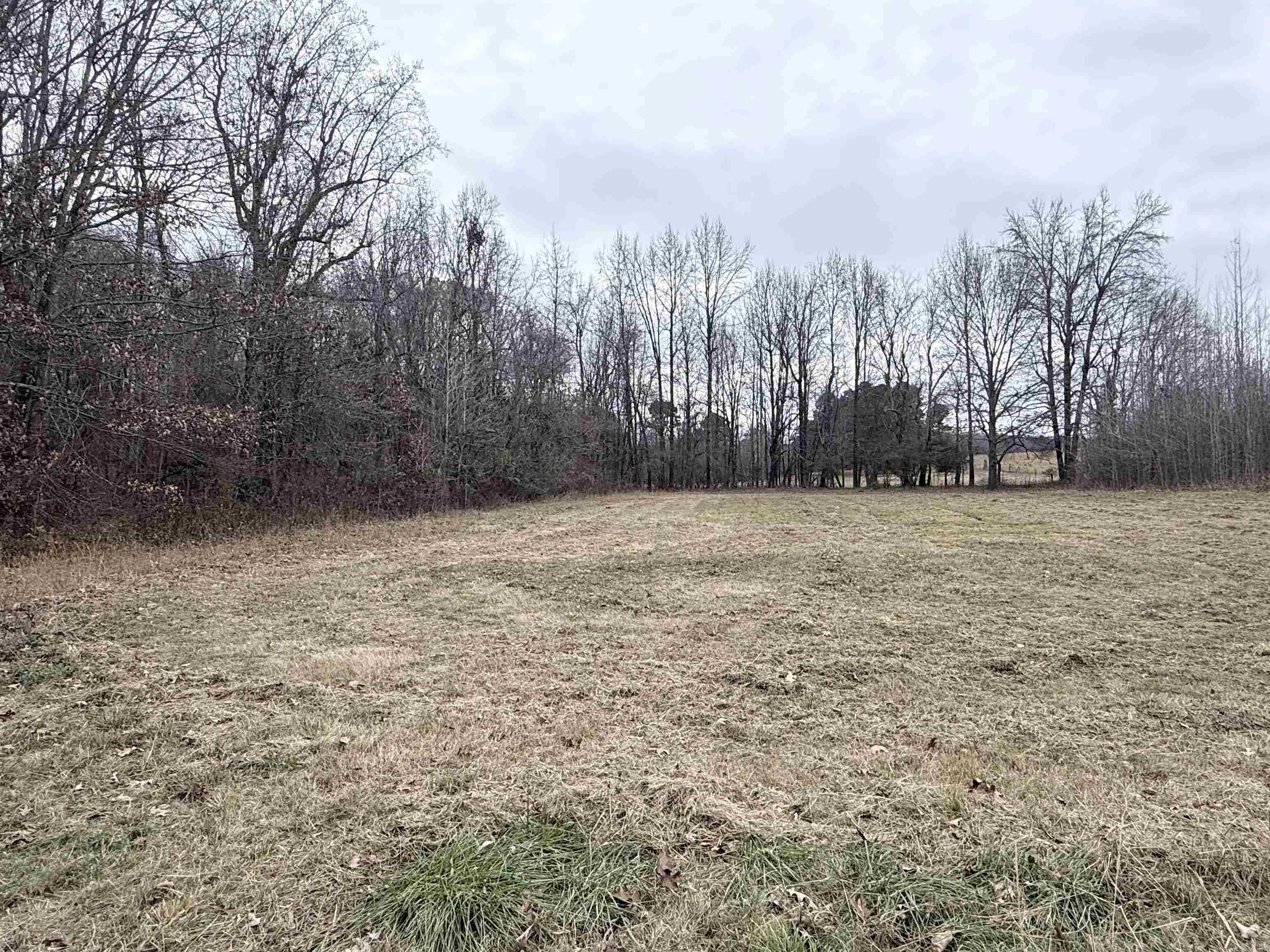 33 acres M/L Greene 710  Paragould, AR