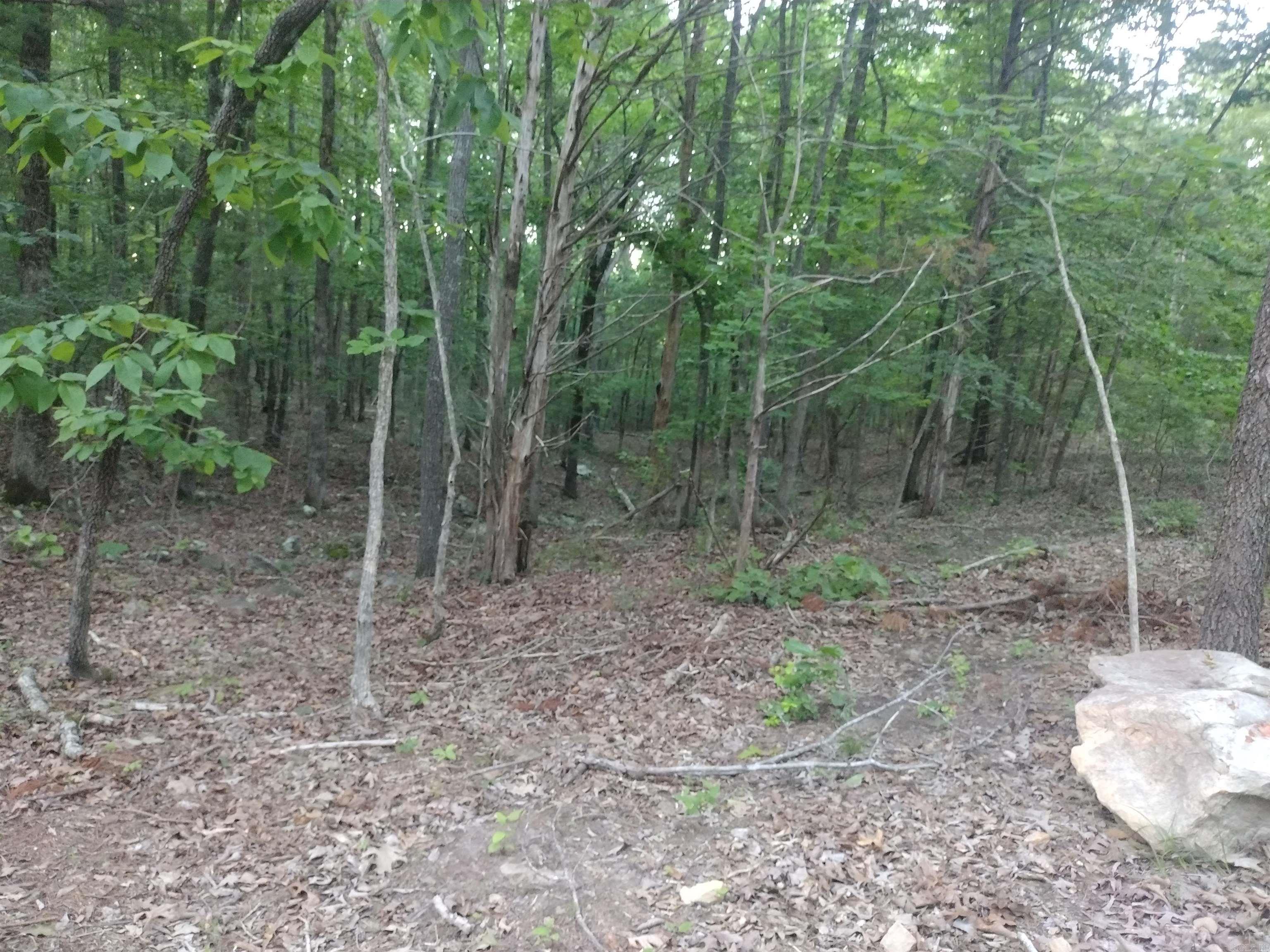 Tract 3 Alamo DR  Mountain View, AR