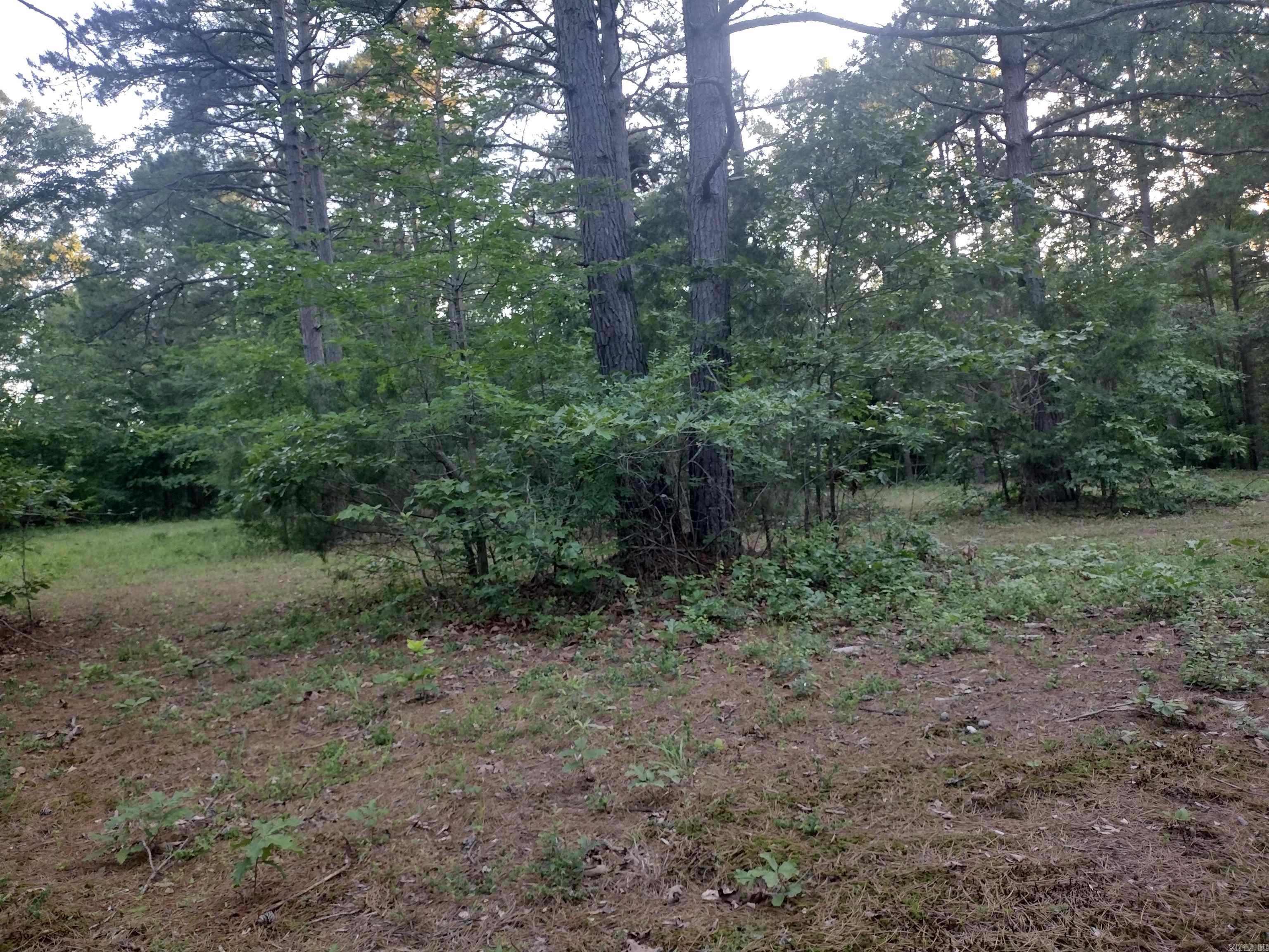 Tract 3 Alamo DR  Mountain View, AR