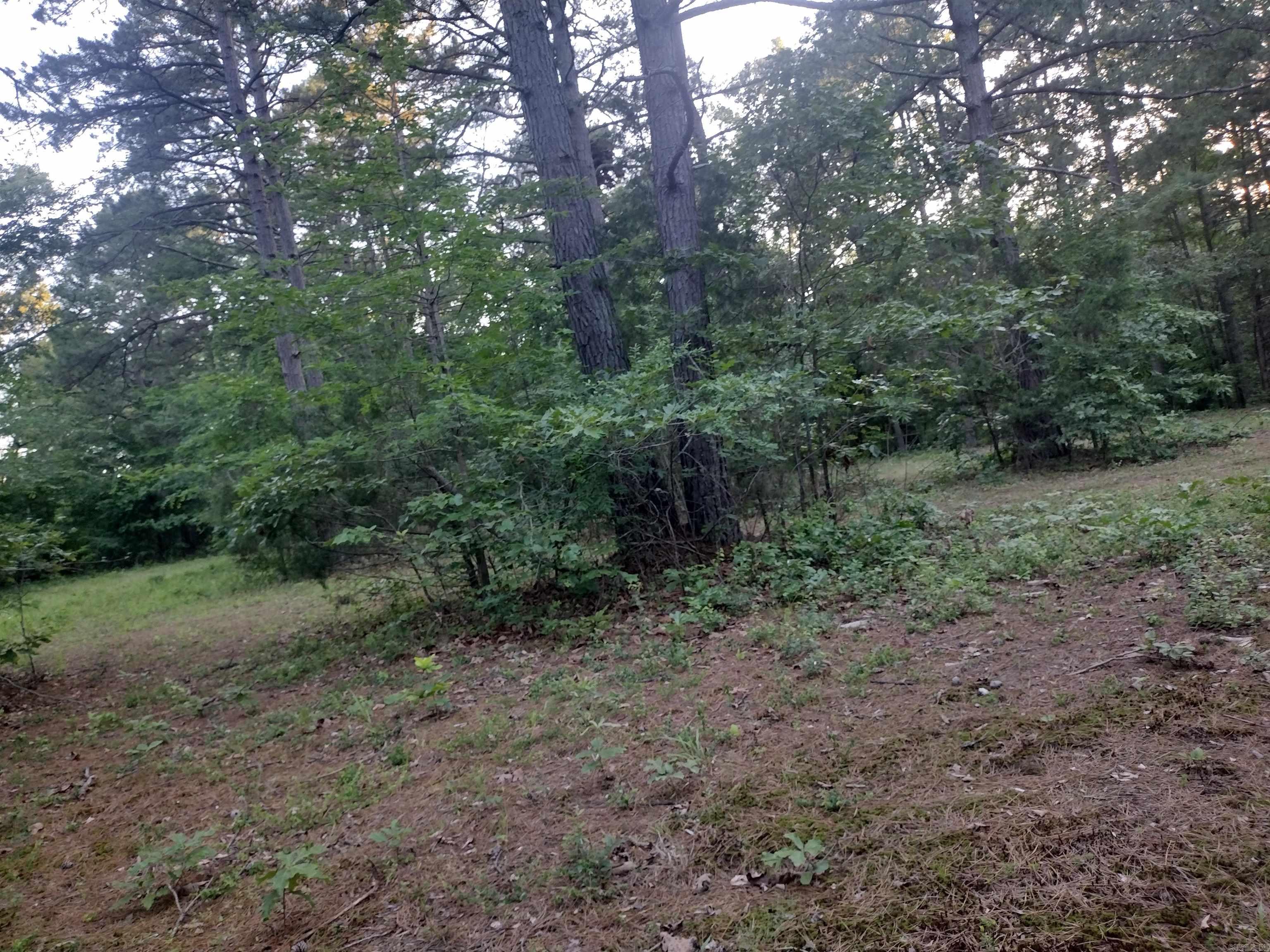 Tract 3 Alamo DR  Mountain View, AR