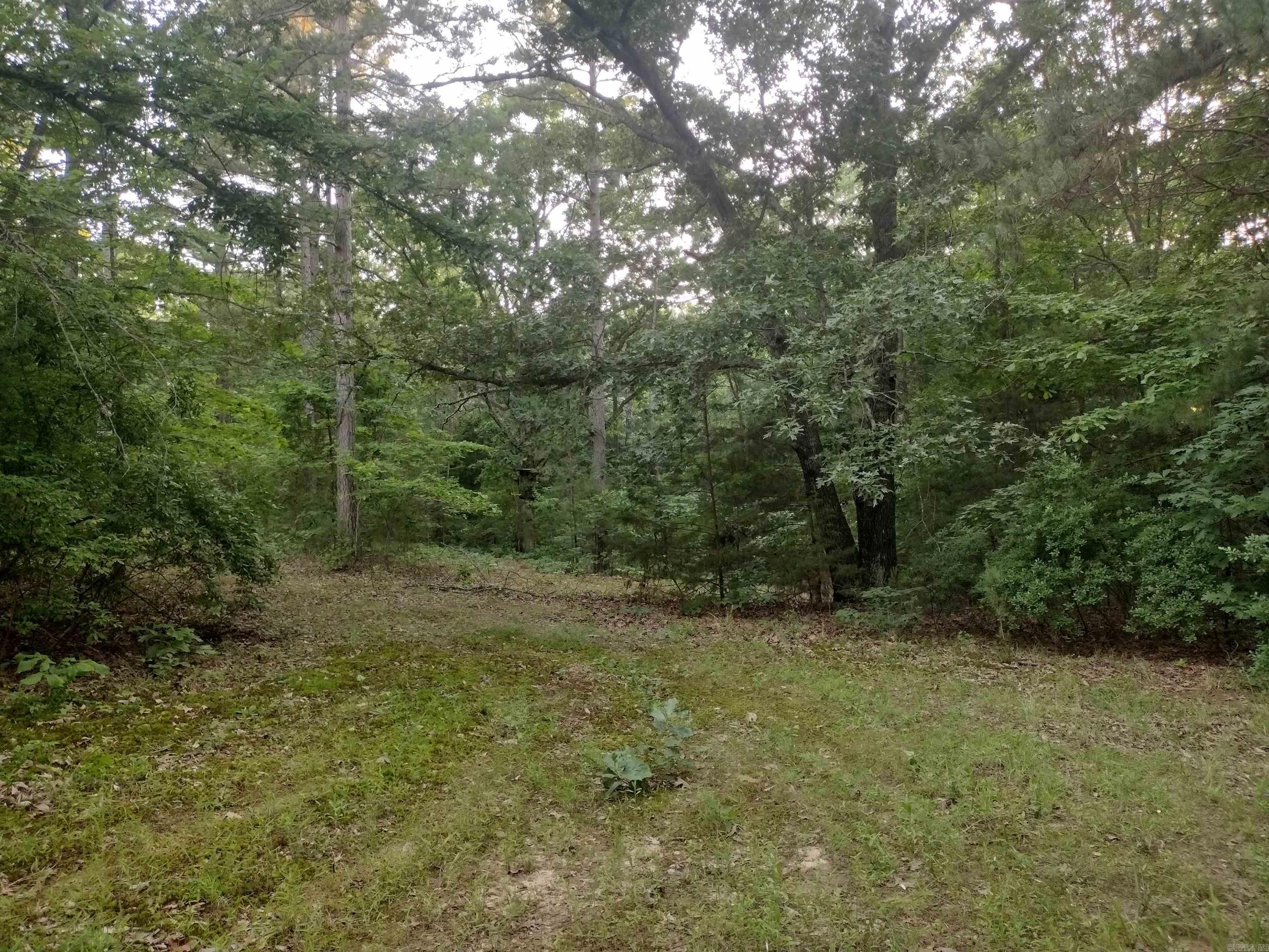 Tract 3 Alamo DR  Mountain View, AR