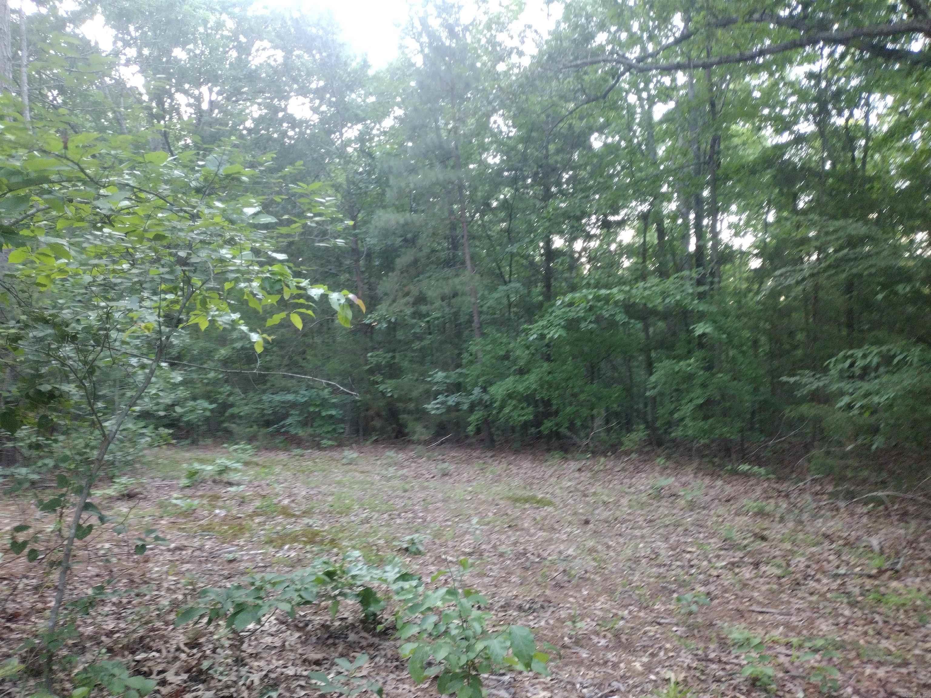 Tract 3 Alamo DR  Mountain View, AR