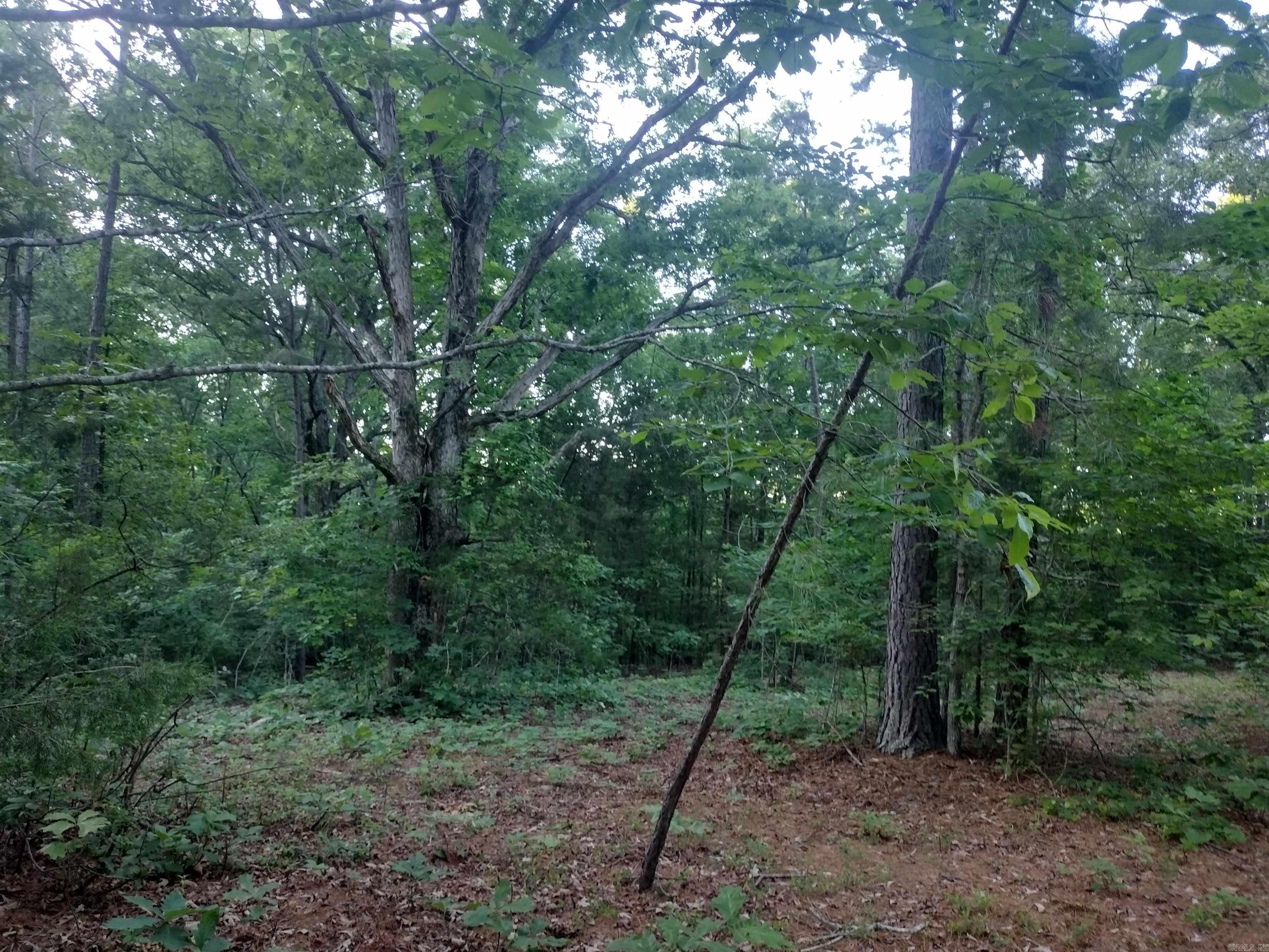 Tract 3 Alamo DR  Mountain View, AR