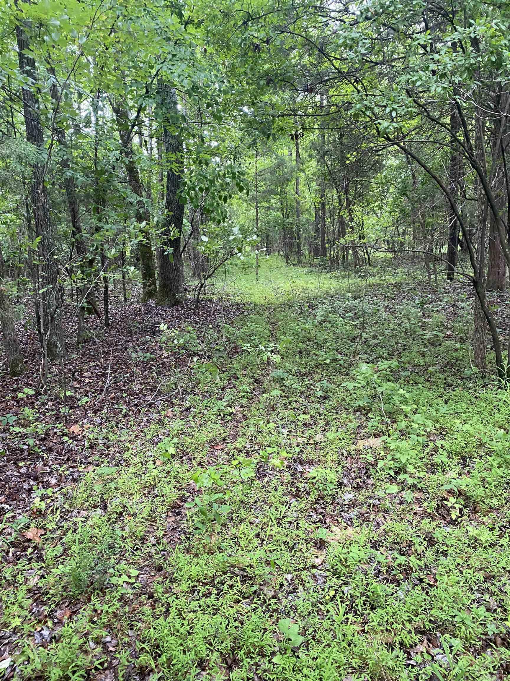 40 acres county road 326  Jonesboro, AR