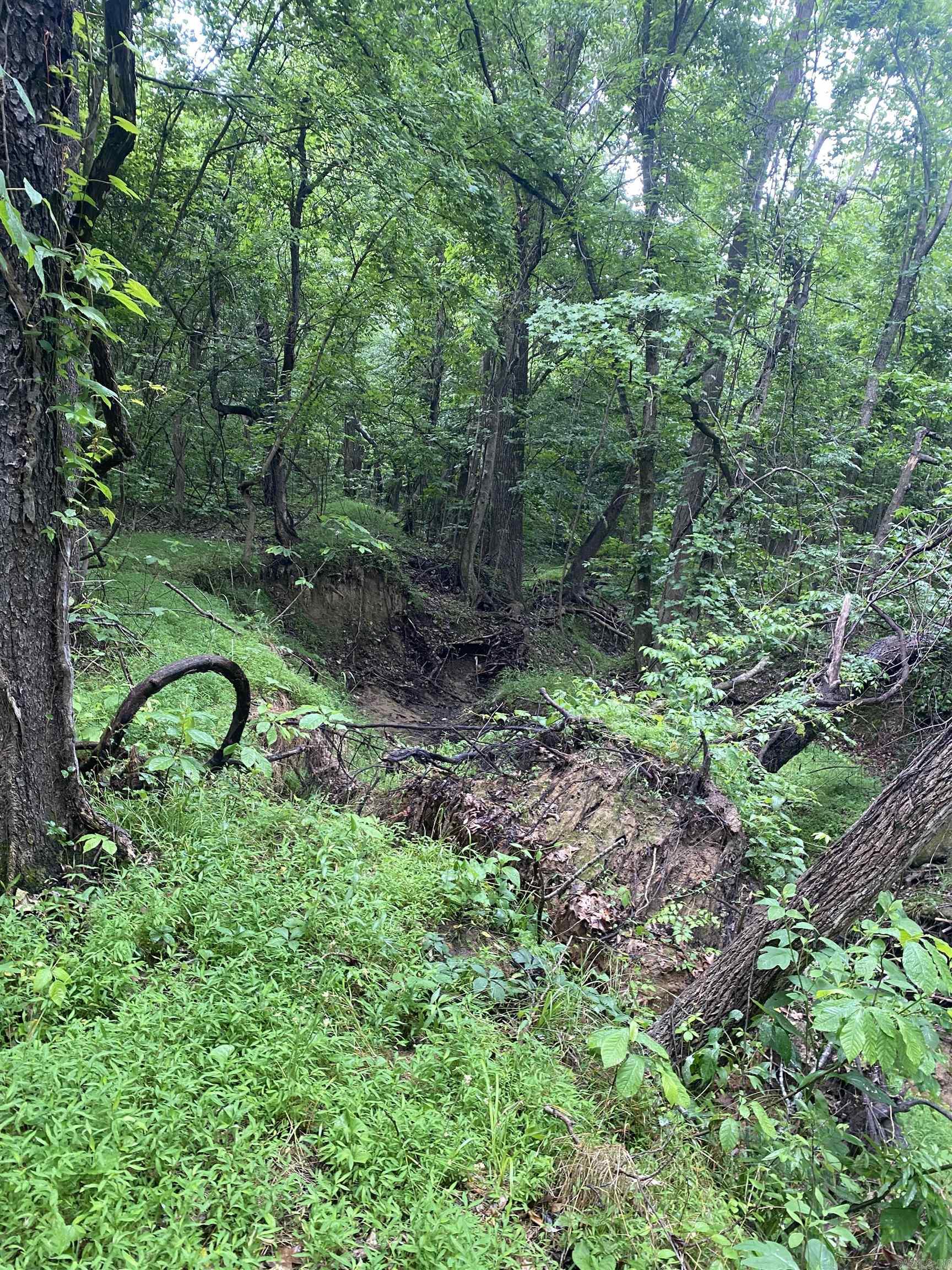 10 acres county road 326  Jonesboro, AR