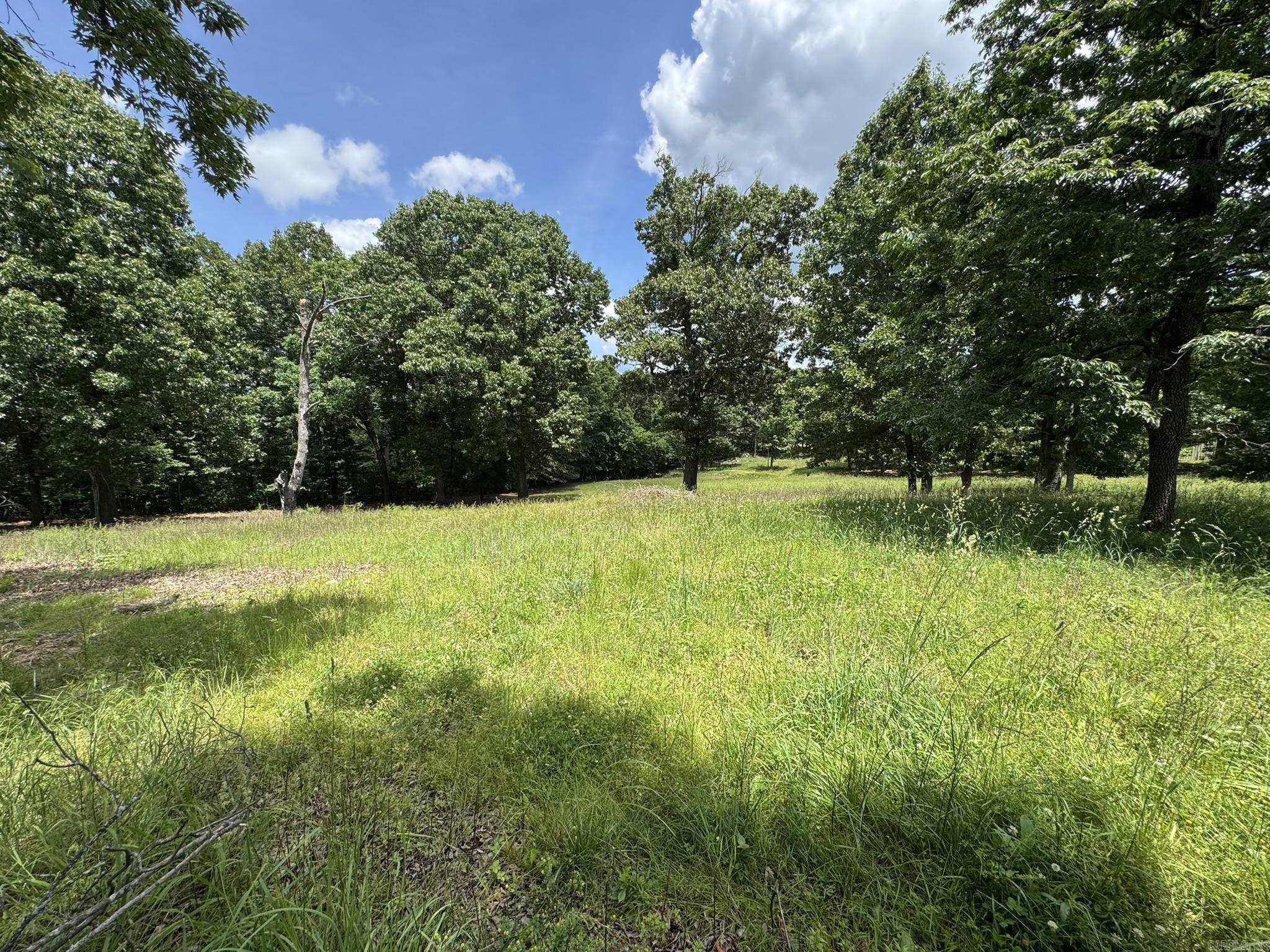 12547 Hwy 201 North  Clarkridge, AR