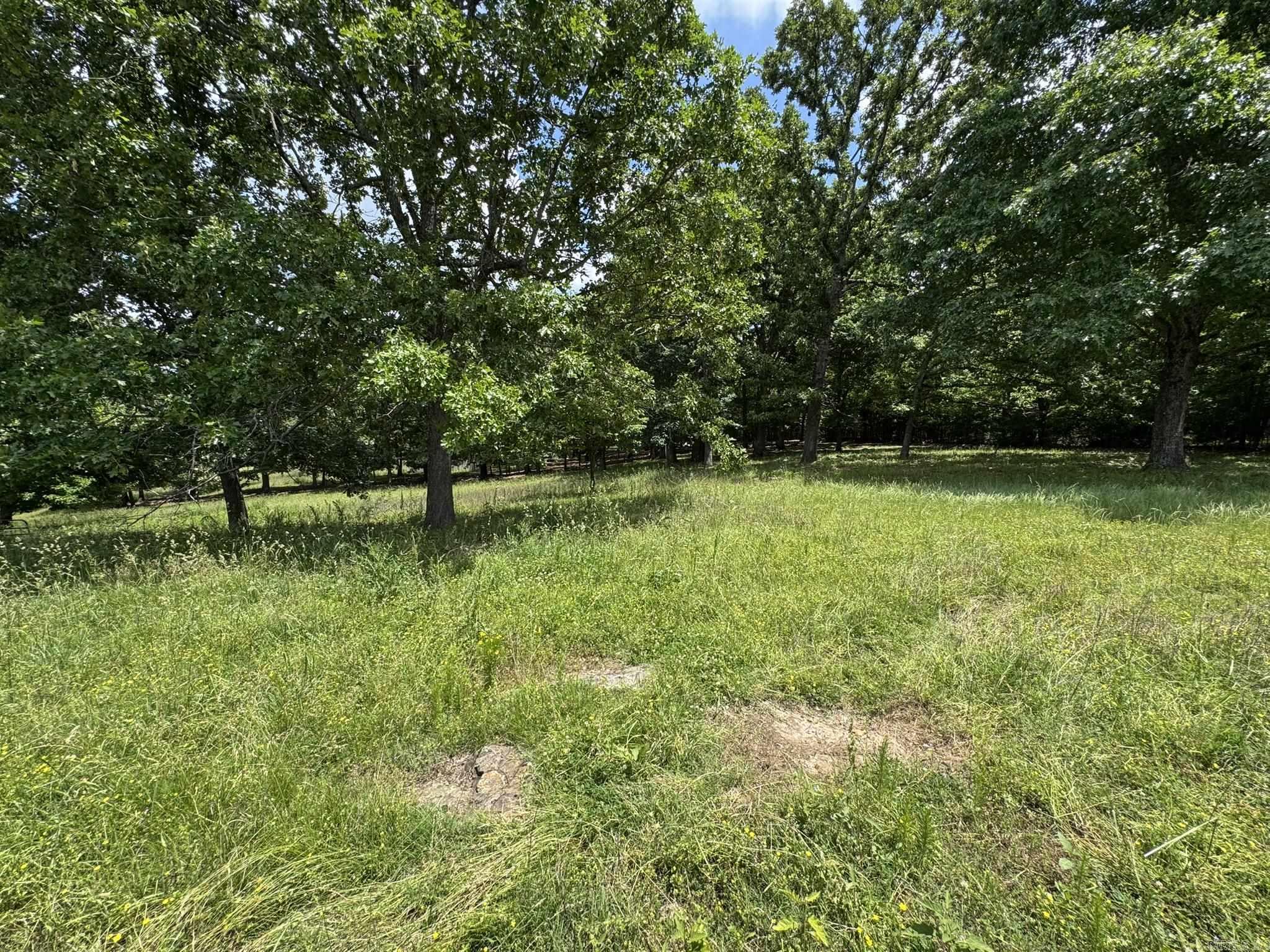 12547 Hwy 201 North  Clarkridge, AR