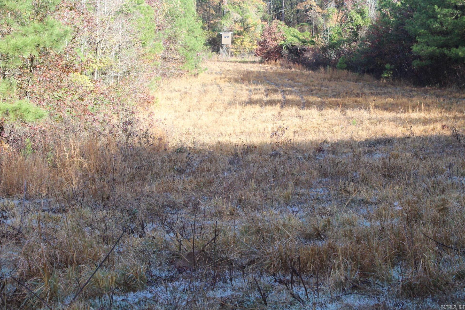  Hickory Grove Rd.  Nashville, AR