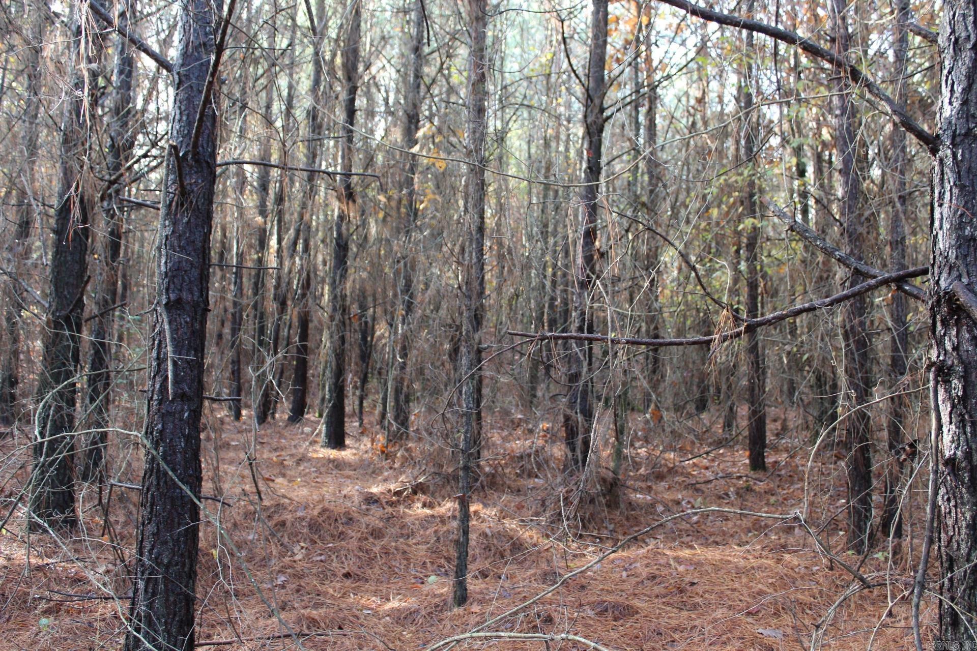 Hickory Grove Rd.  Nashville, AR